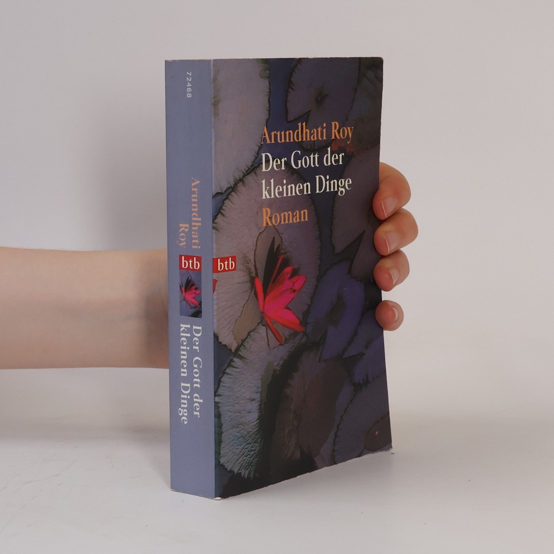 Arundhati Roy Der Gott der kleinen Dinge