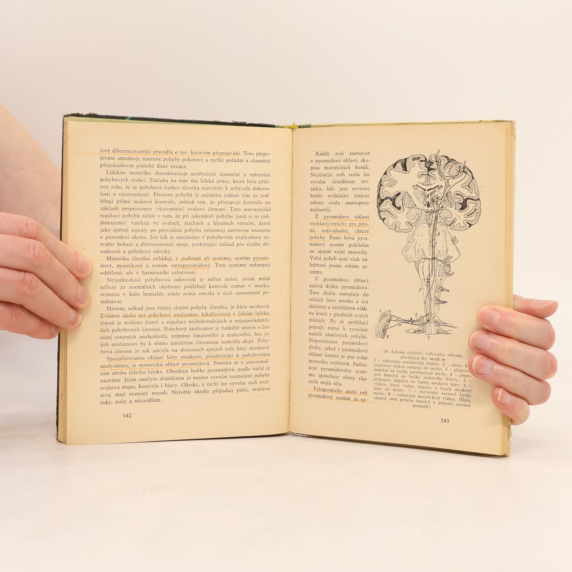 Autorenkollektiv Obecná psychologie pro pedagogické instituty