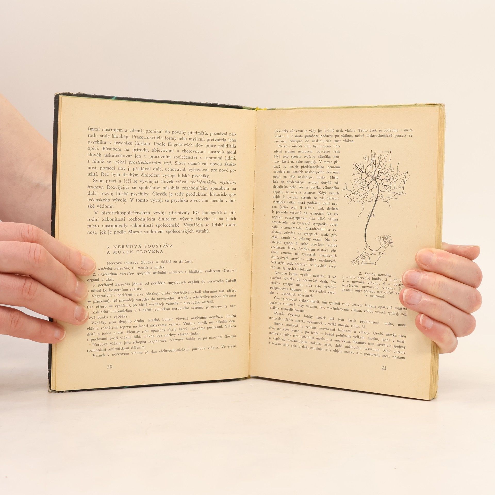 Autorenkollektiv Obecná psychologie pro pedagogické instituty