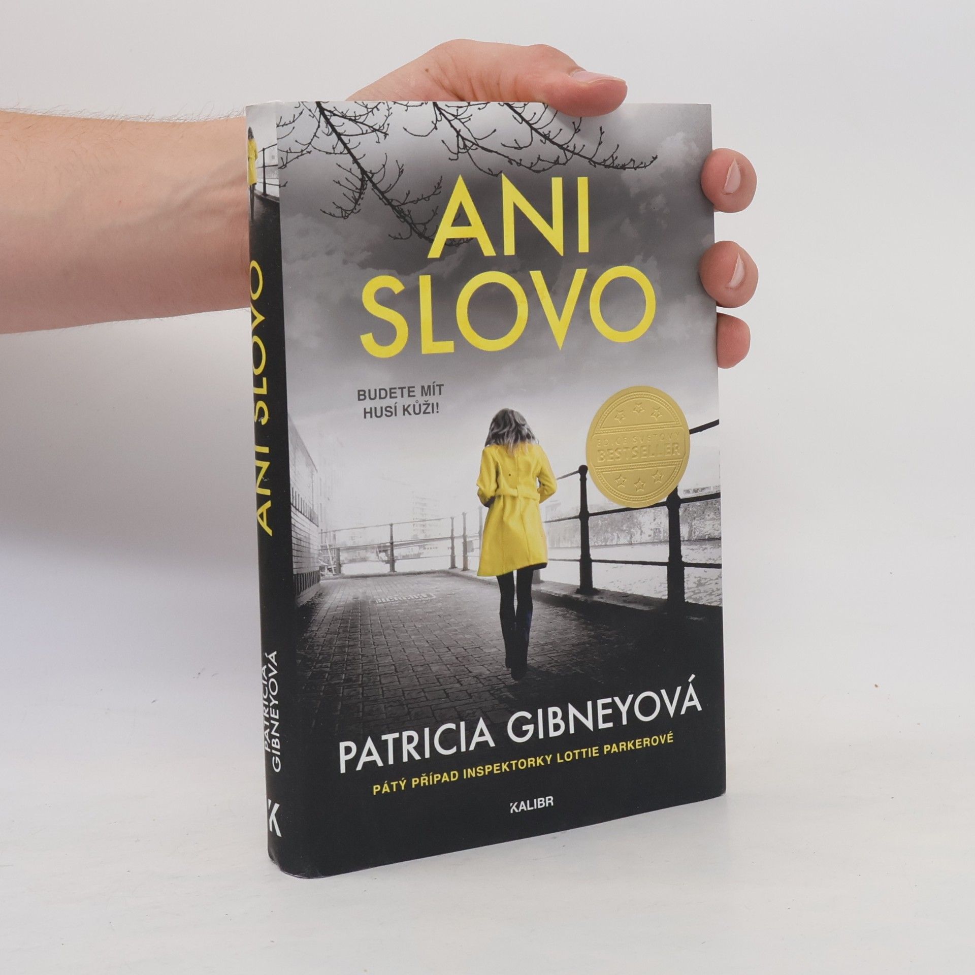Patricia Gibney Ani slovo