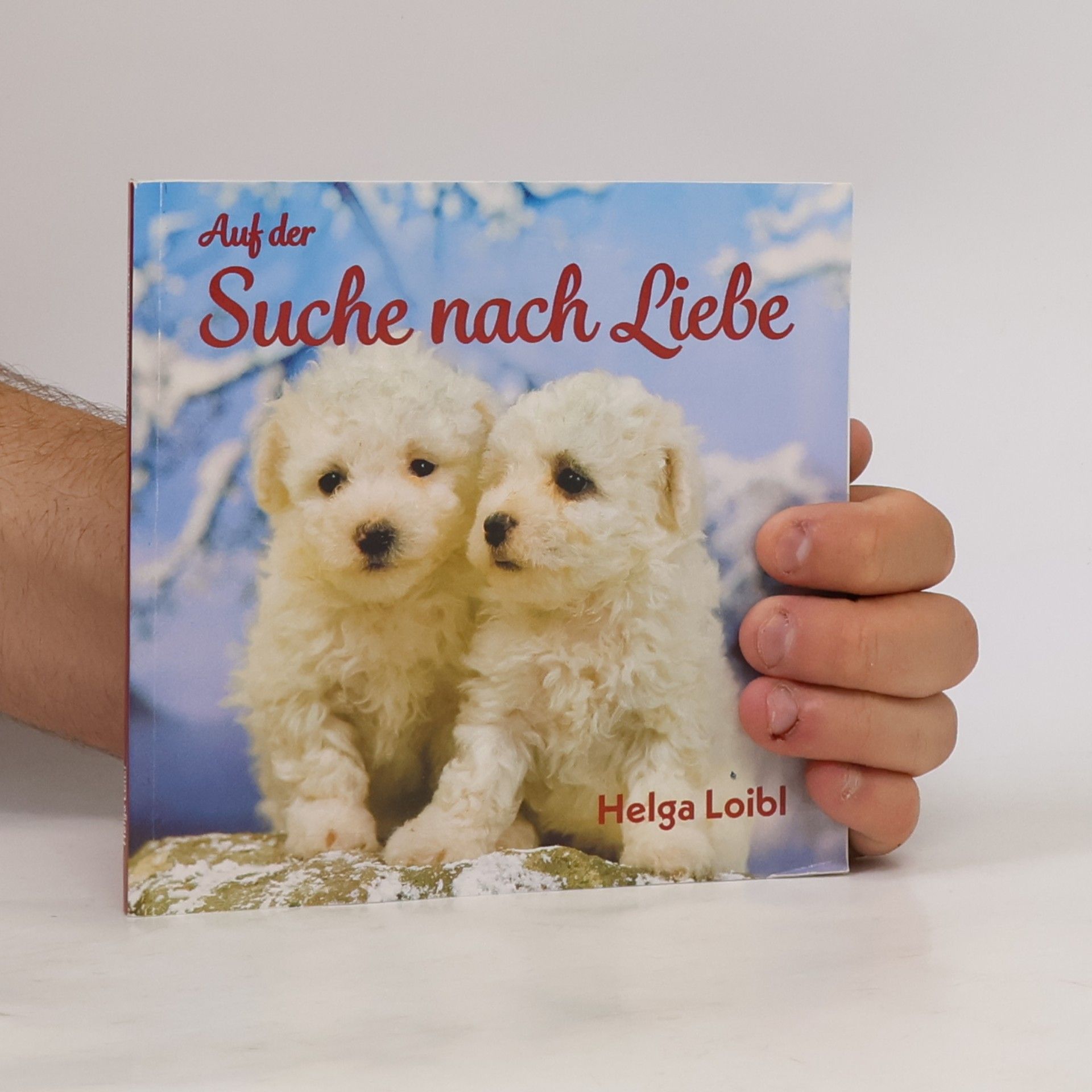 Helga Loibl Auf der Suche nach Liebe