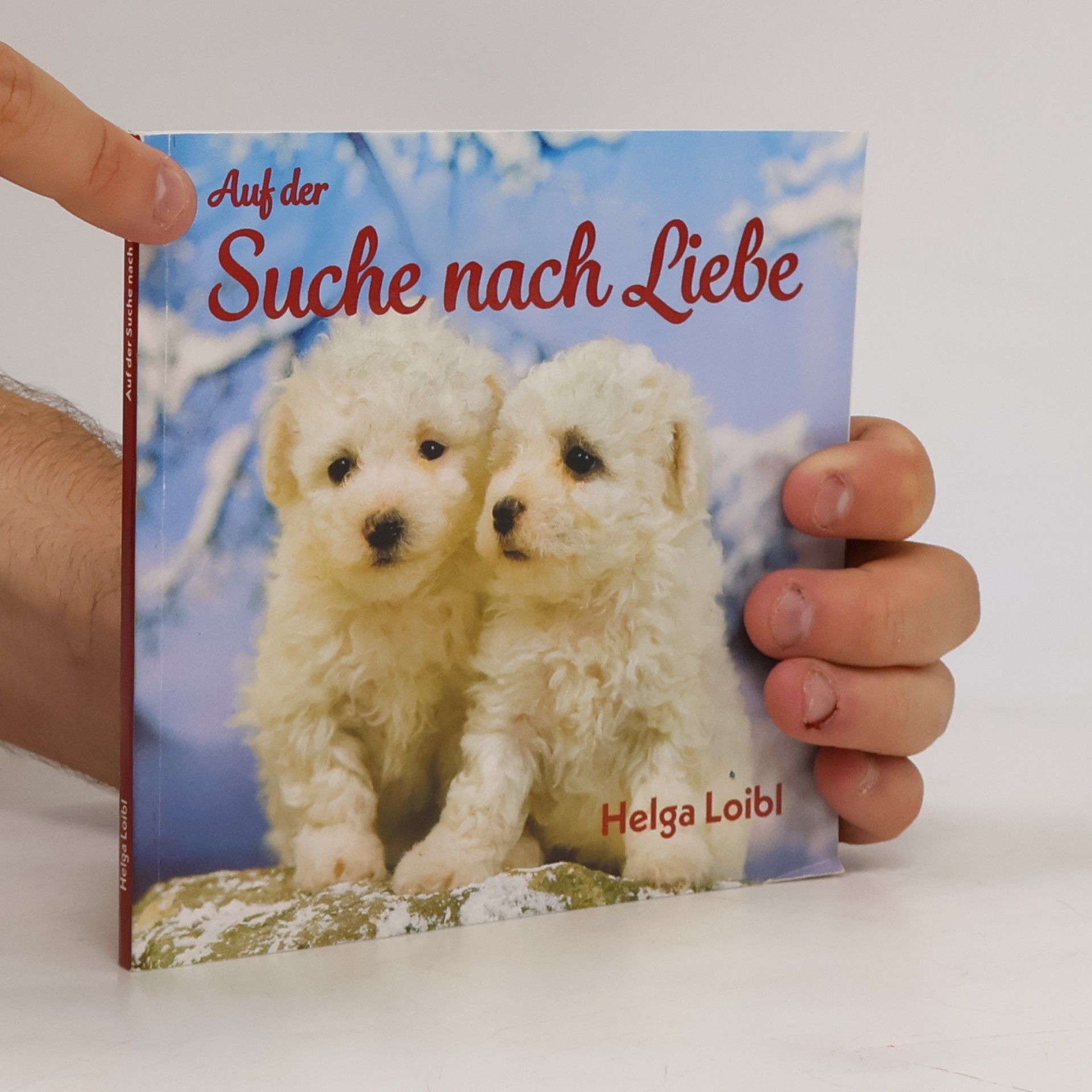 Helga Loibl Auf der Suche nach Liebe