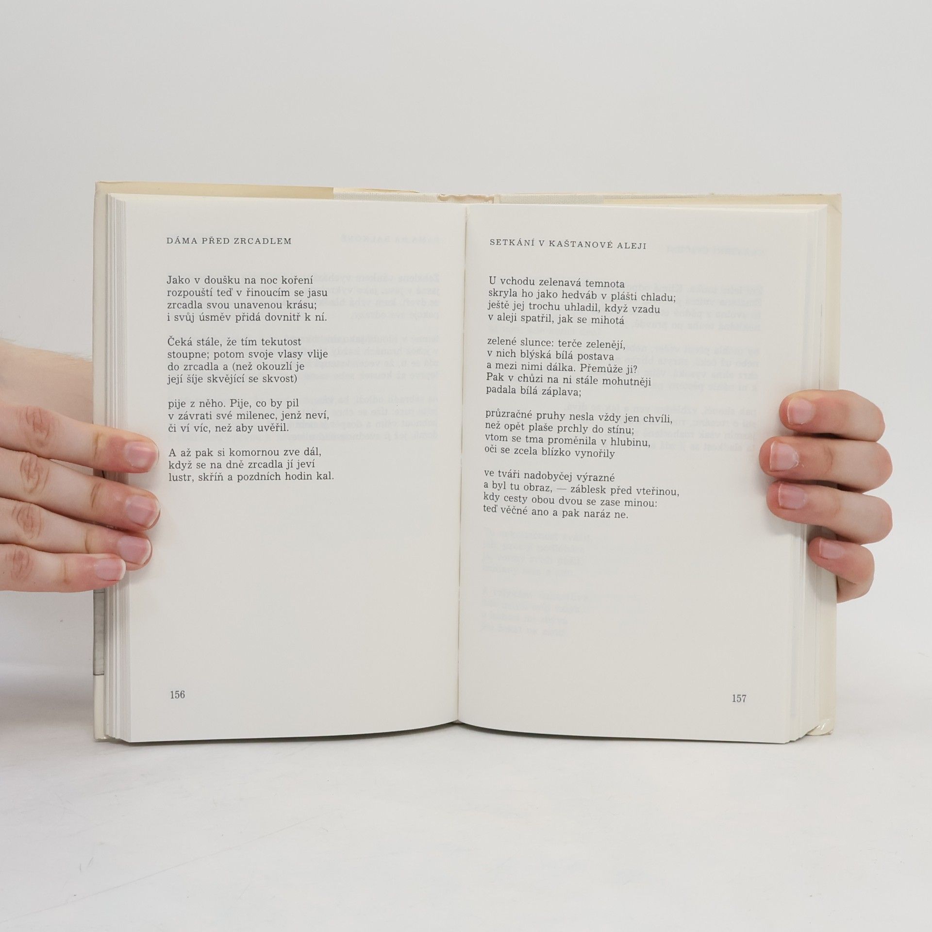 Rainer Maria Rilke ...A na ochozech smrt jsi viděl stát