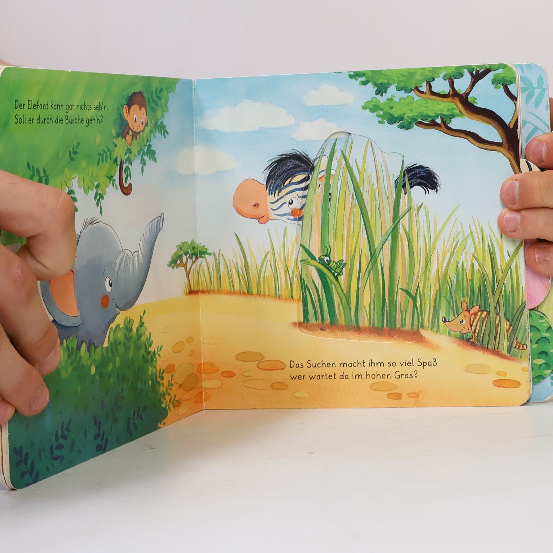 Sandra Grimm Wer ist da versteckt? Wilde Tiere