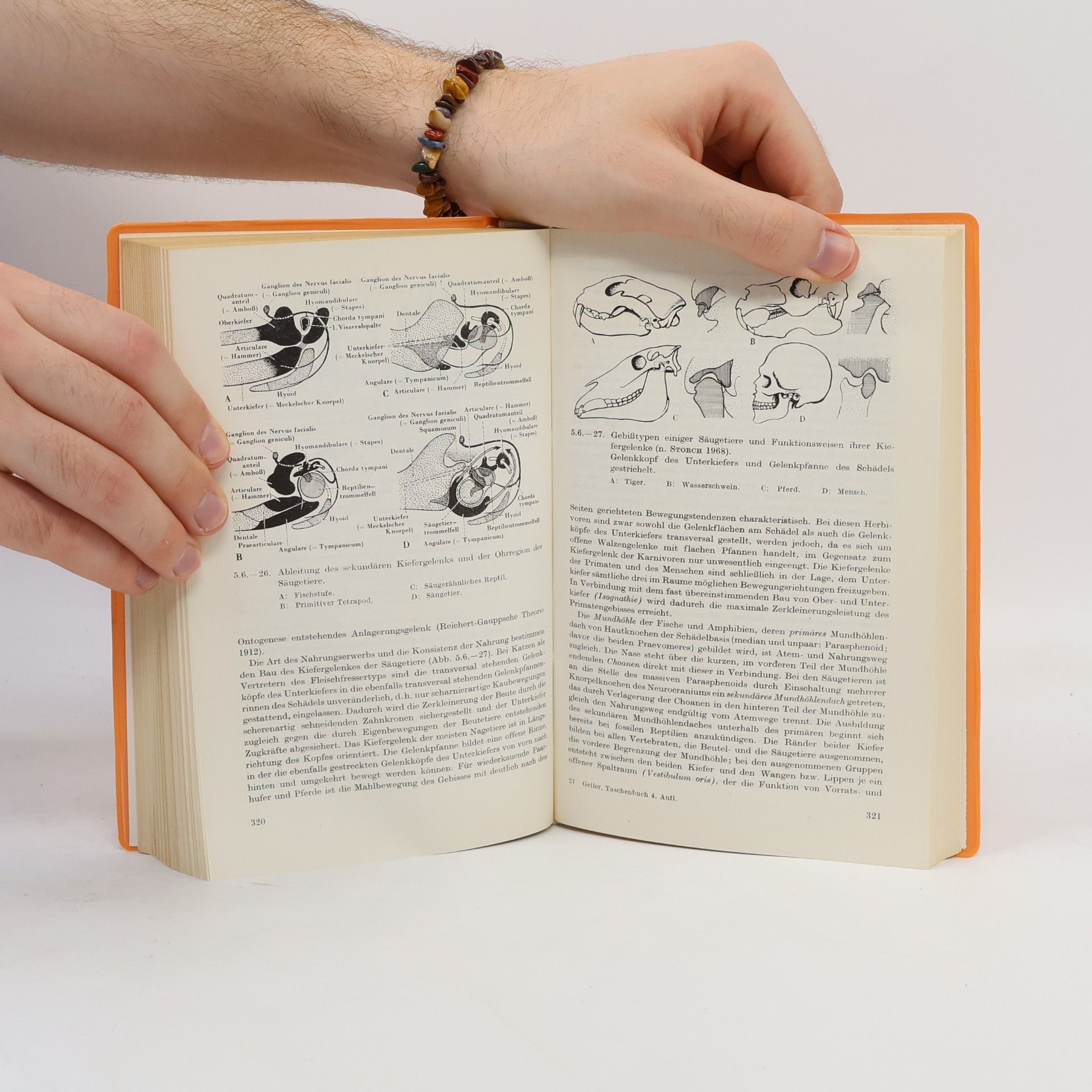 Heinz Geiler Allgemeine Zoologie