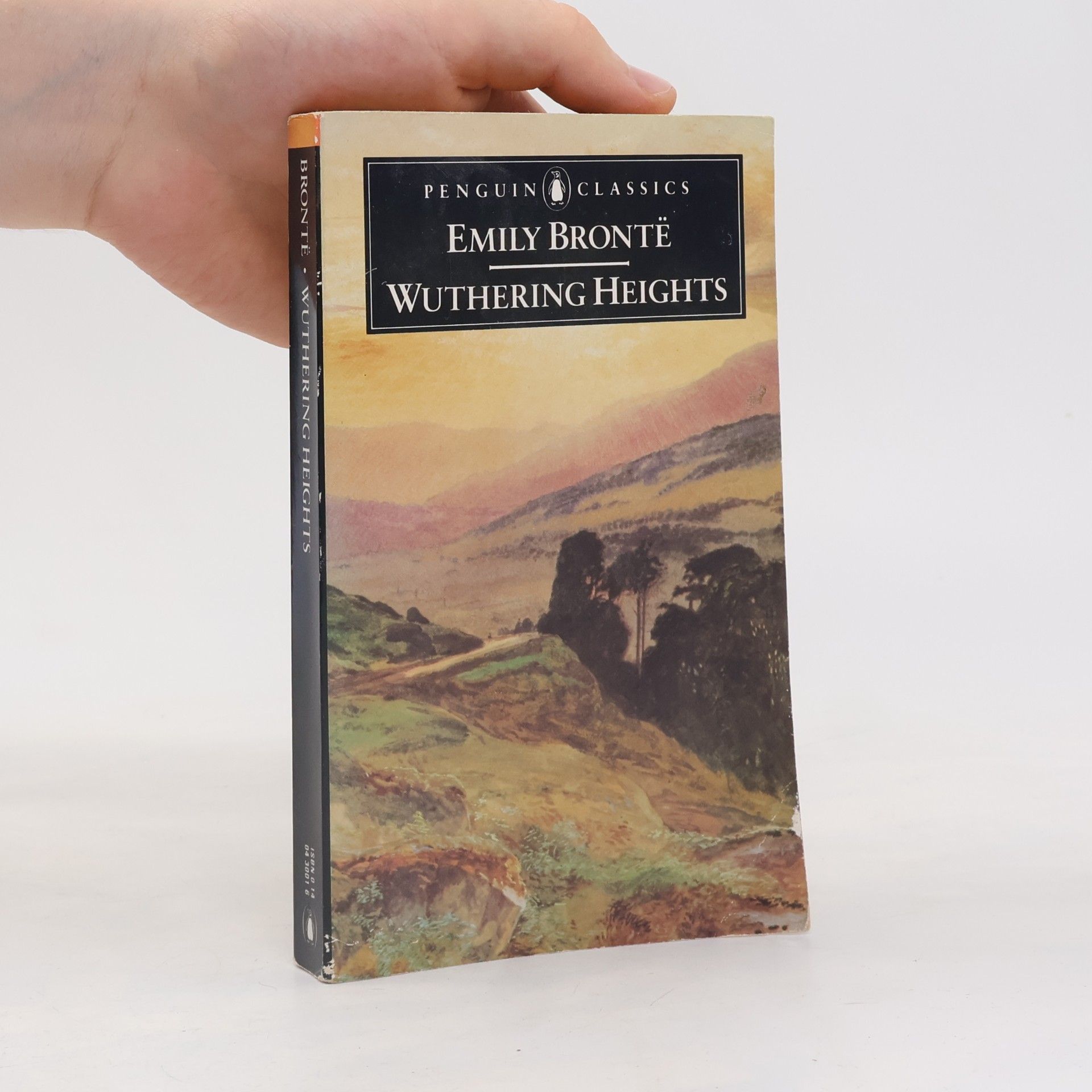 Emily Brontë Wuthering Heights