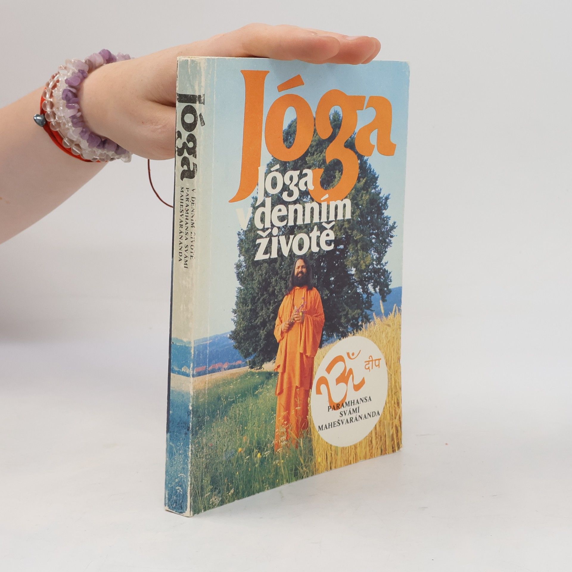 Paramhans Swami Maheshwarananda Jóga v denním životě