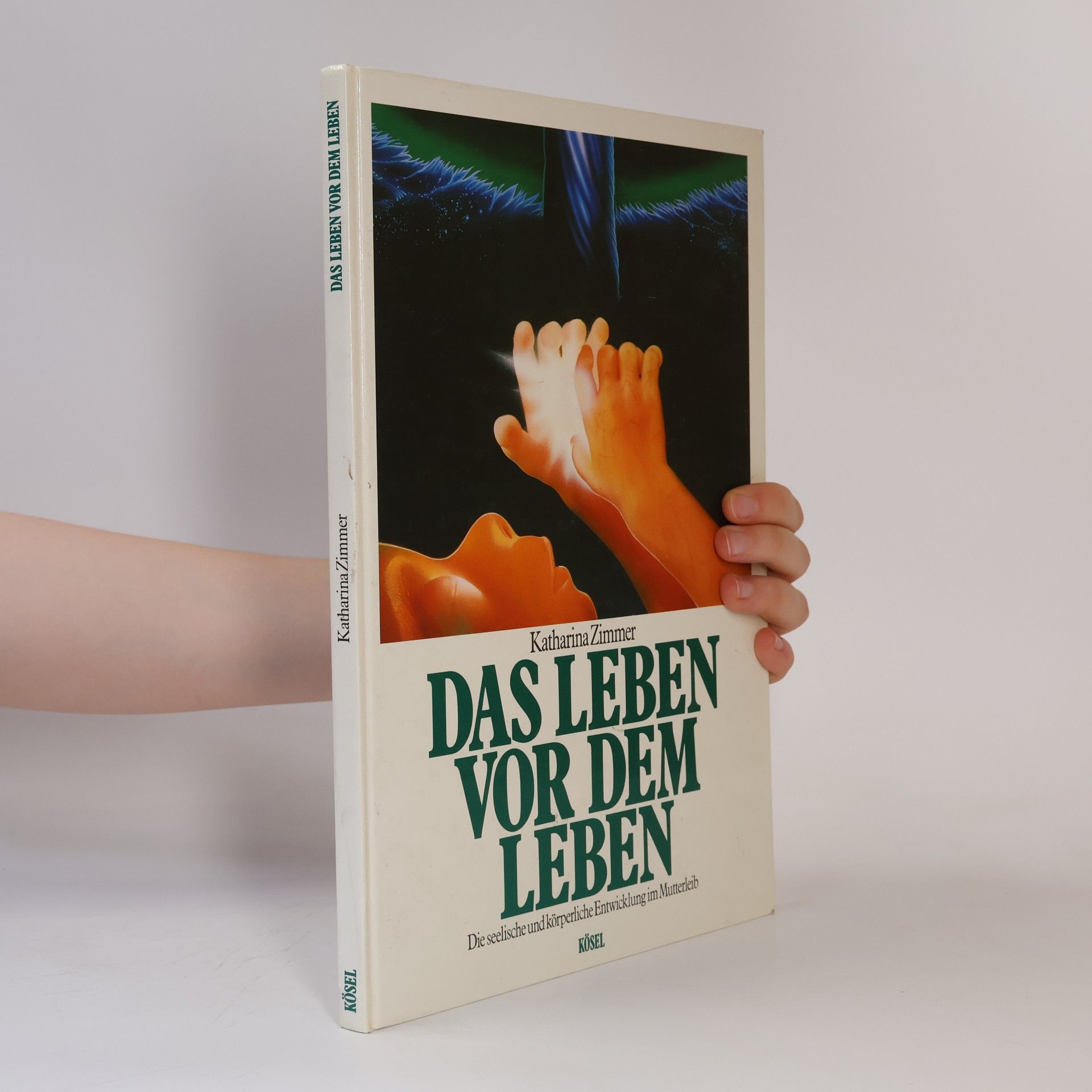 Katharina Zimmer Das Leben vor dem Leben