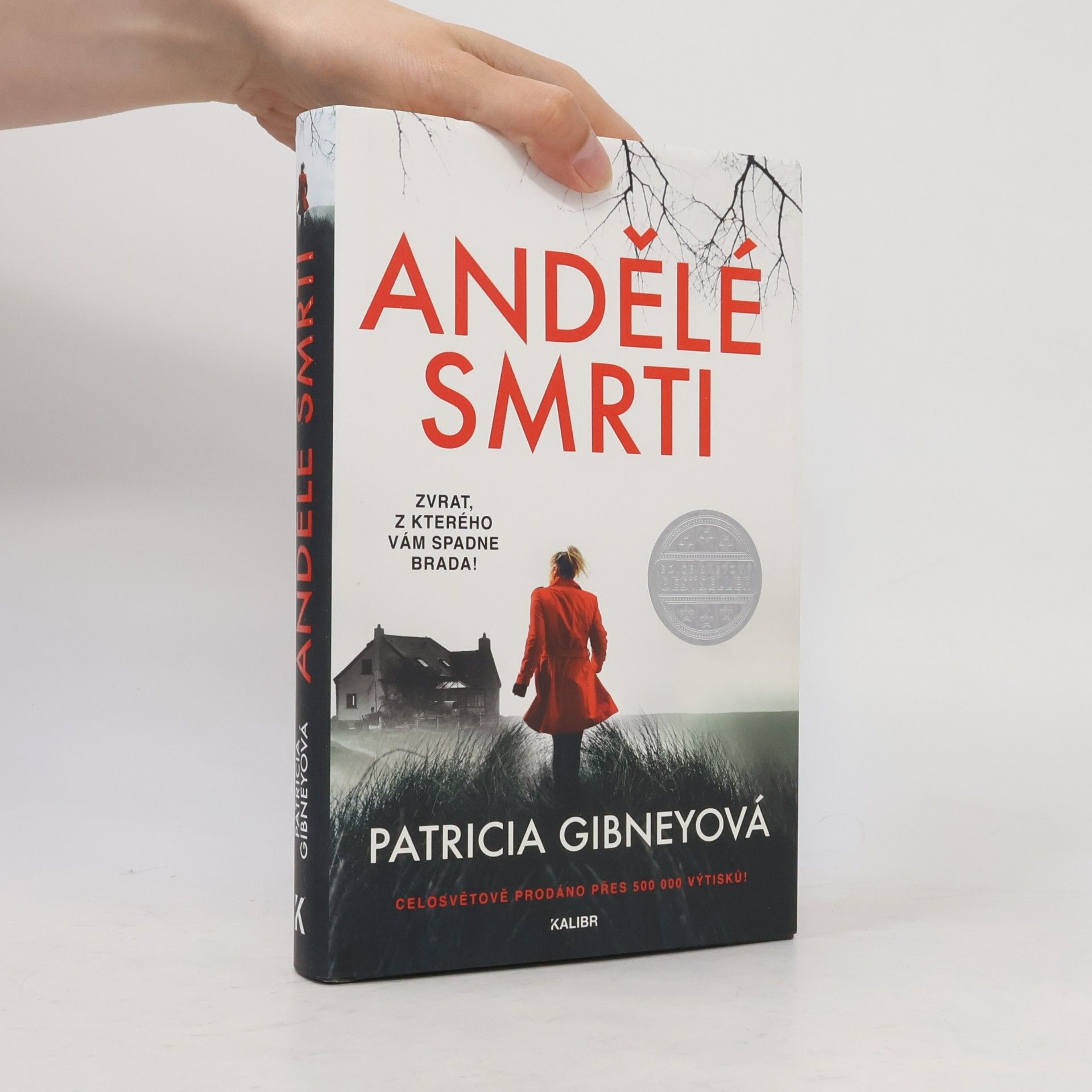 Patricia Gibney Andělé smrti