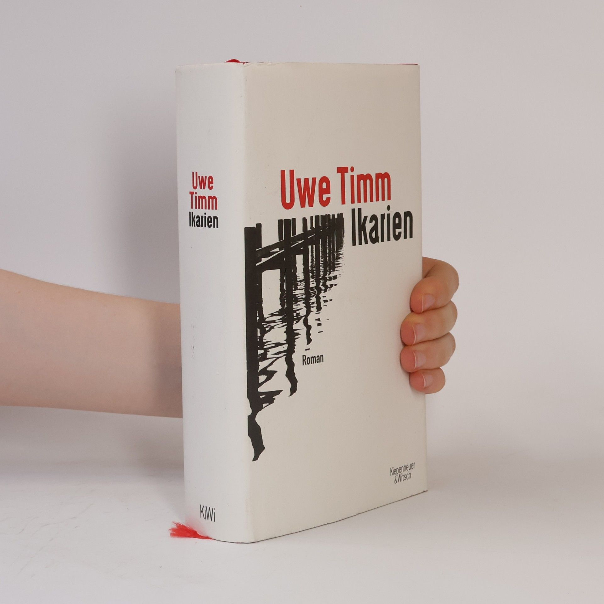 Uwe Timm Ikarien