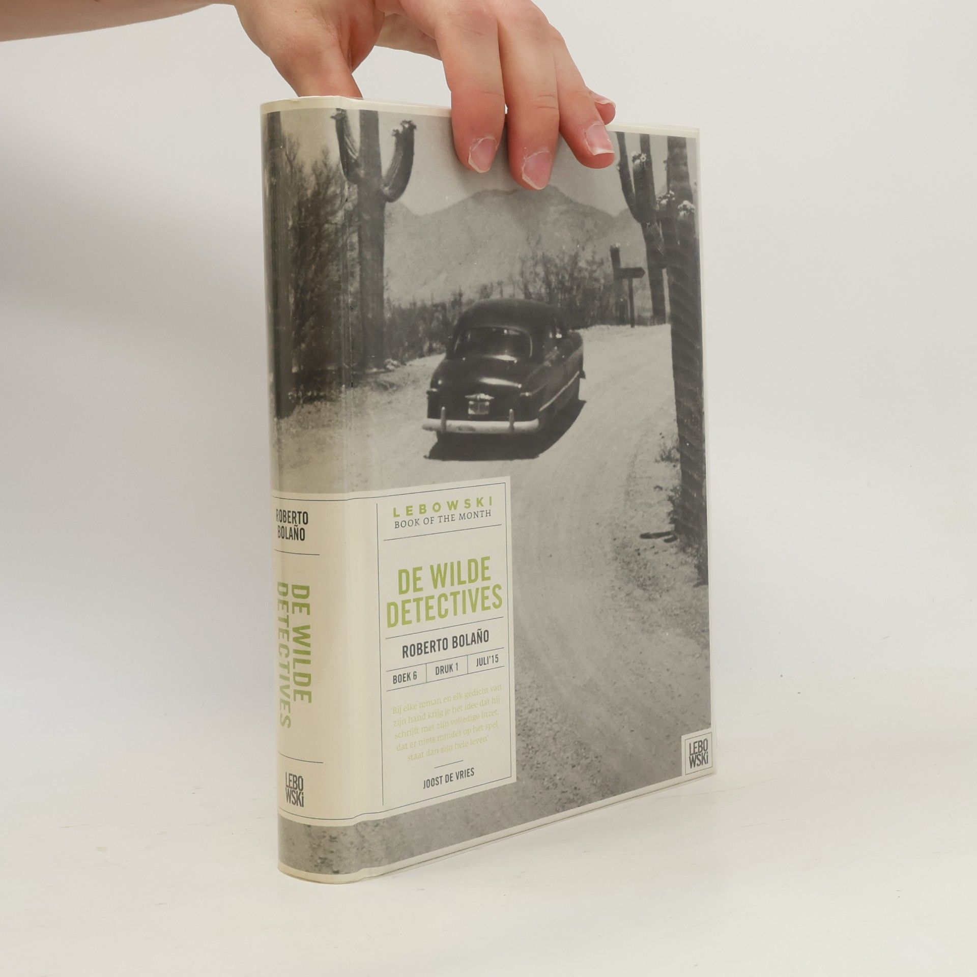Aline Glastra van Loon Lebowski Book of the Month - 6: De wilde detectives - druk 1