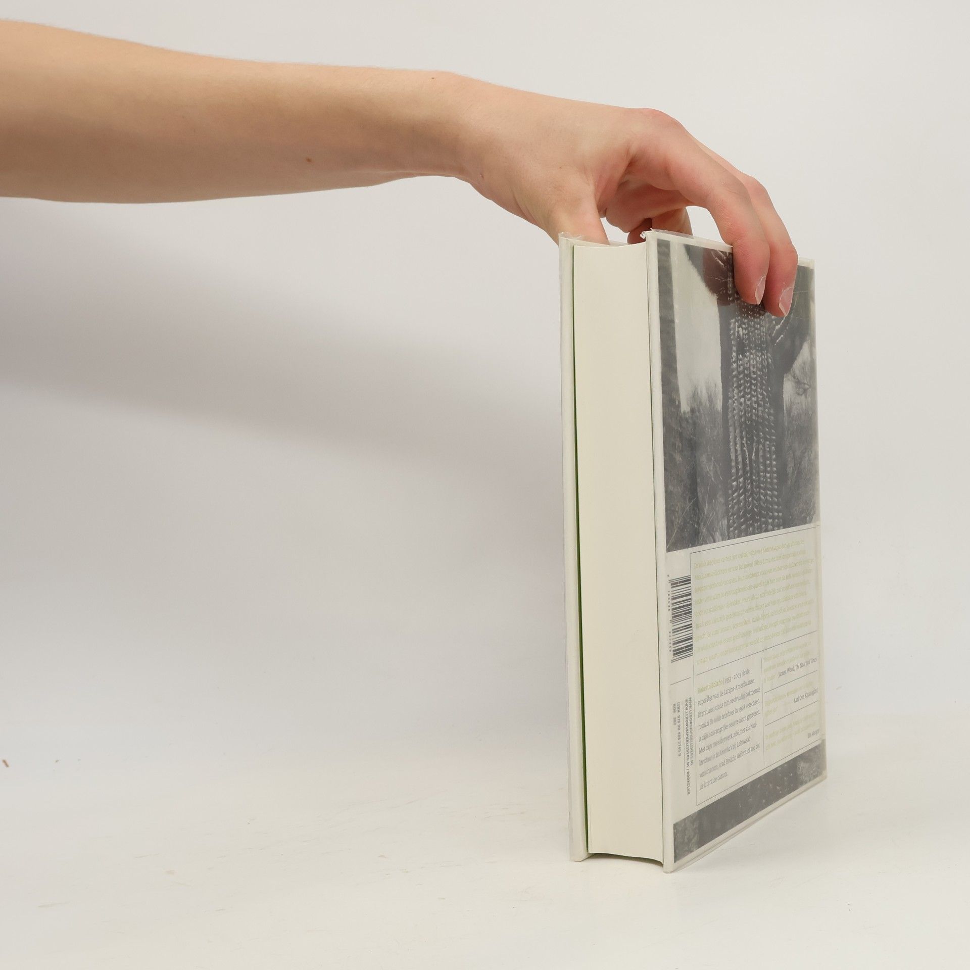 Aline Glastra van Loon Lebowski Book of the Month - 6: De wilde detectives - druk 1