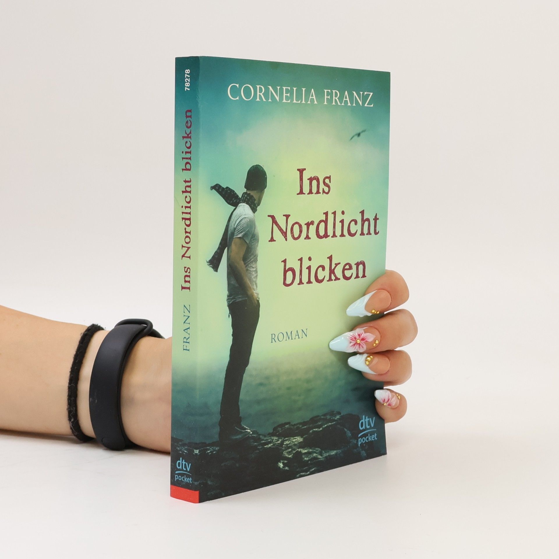 Cornelia Franz Ins Nordlicht blicken