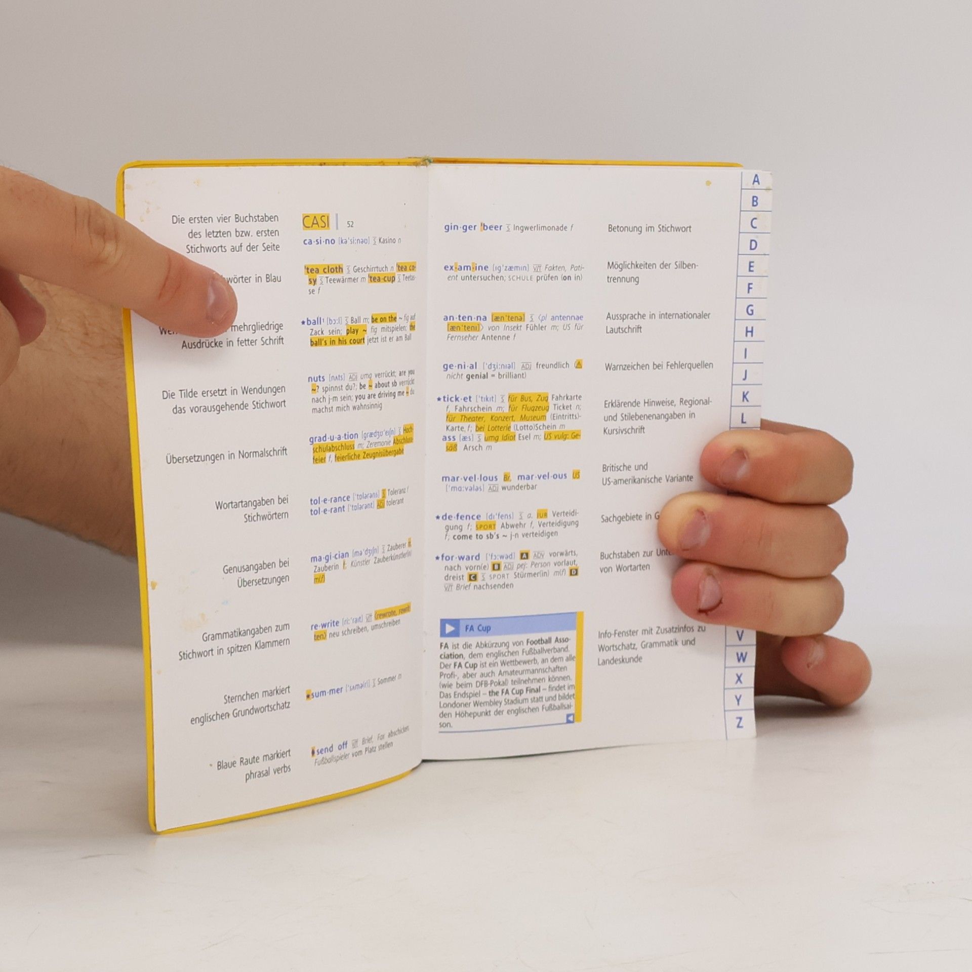 Veronika Schnorr Langenscheidt - Schulwörterbuch Englisch