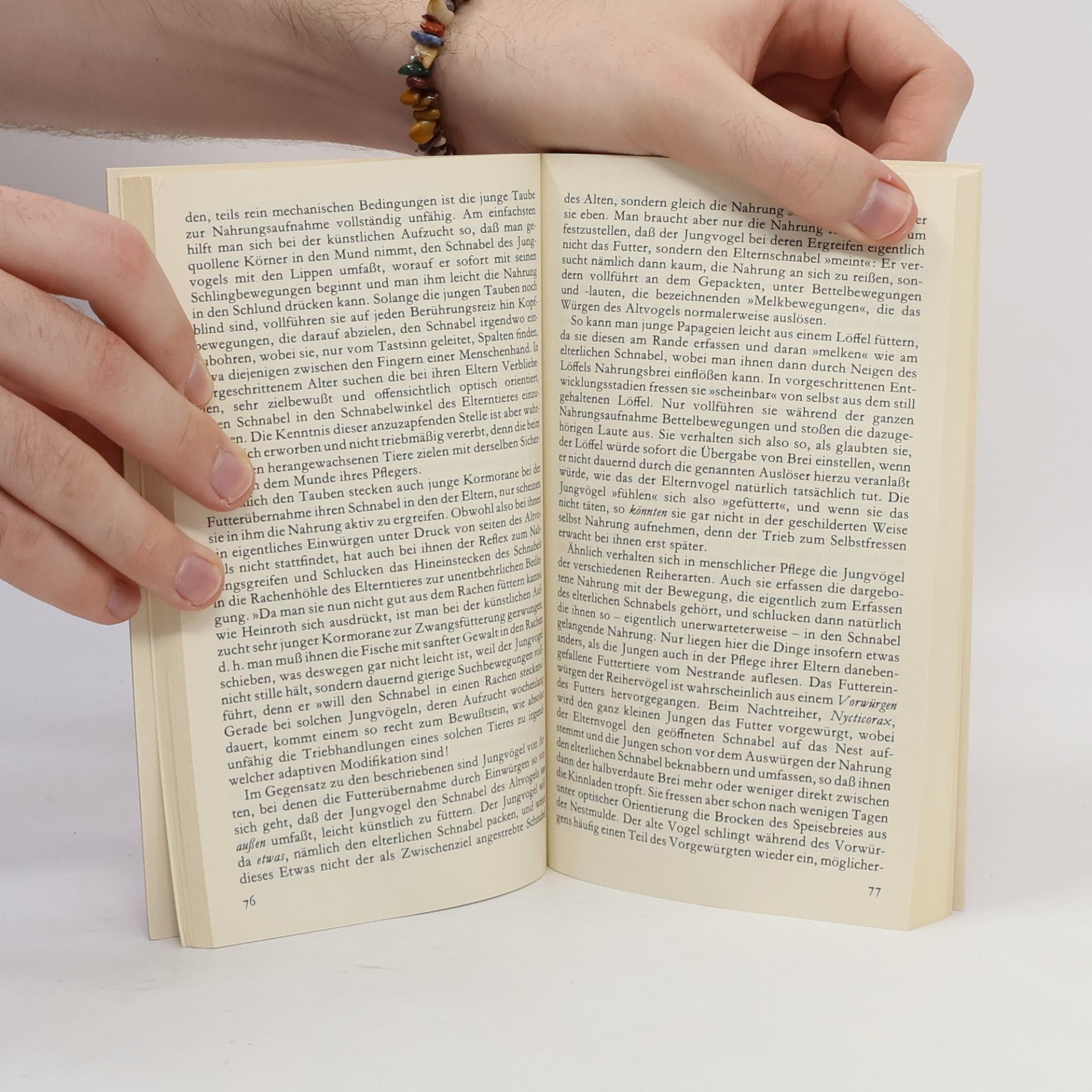 Konrad Lorenz Der Kumpan in der Umwelt des Vogels