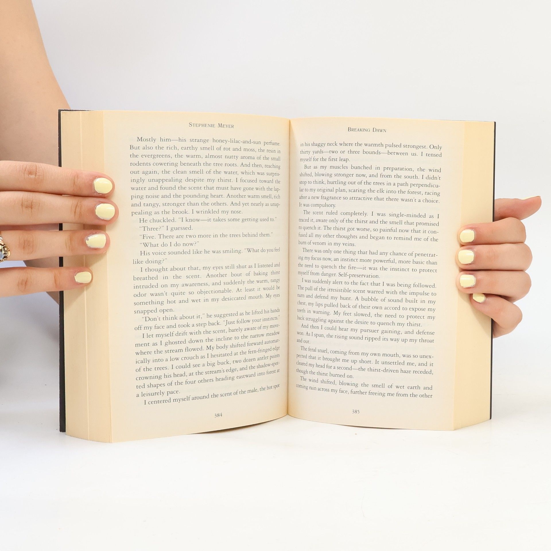 Stephenie Meyer Breaking dawn