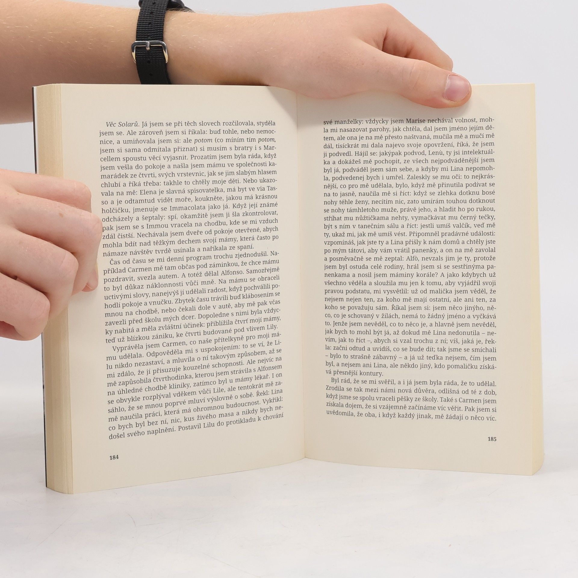 Elena Ferrante Příběh ztracené holčičky. Geniální přítelkyně. 4. díl