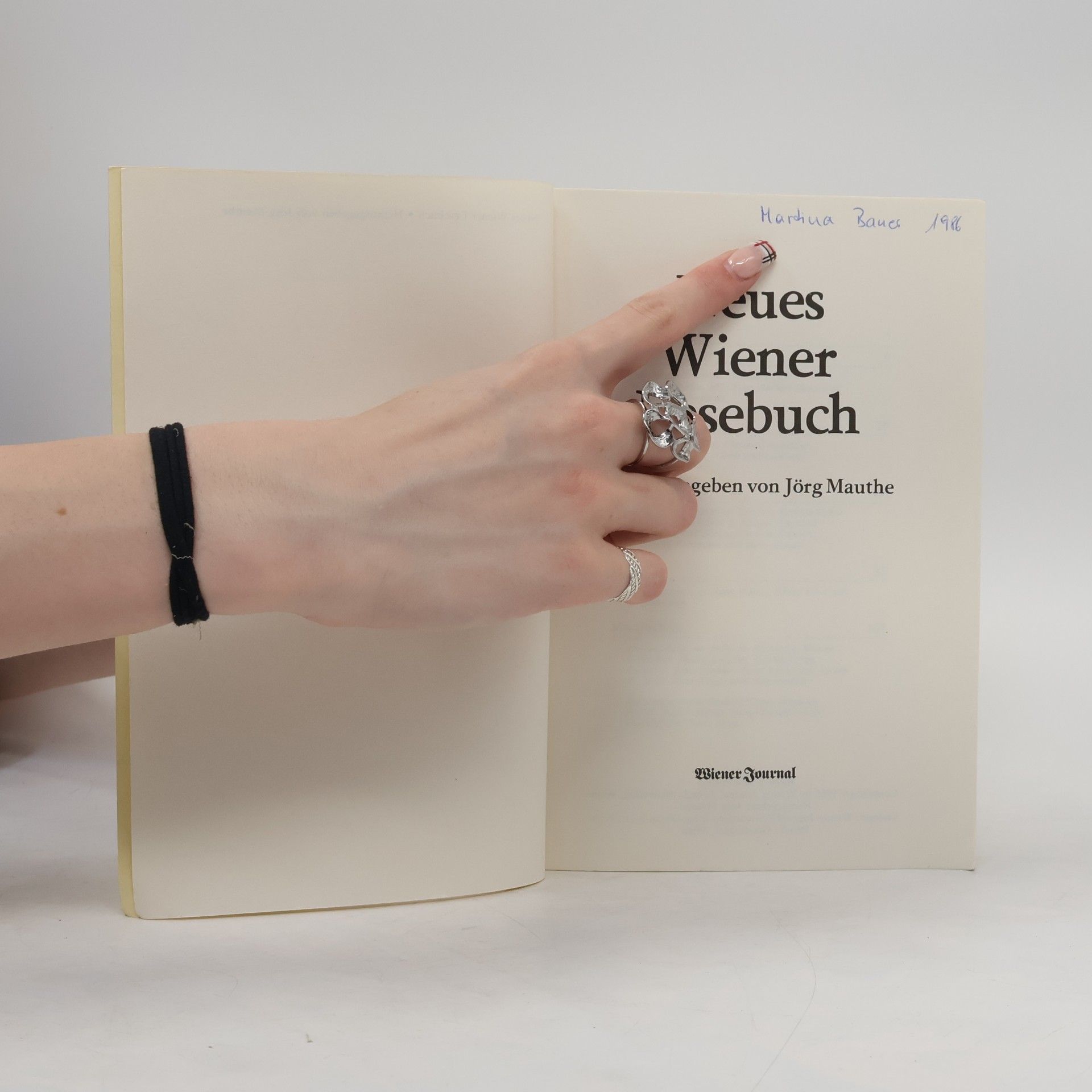 Jörg Mauthe Neues Wiener Lesebuch