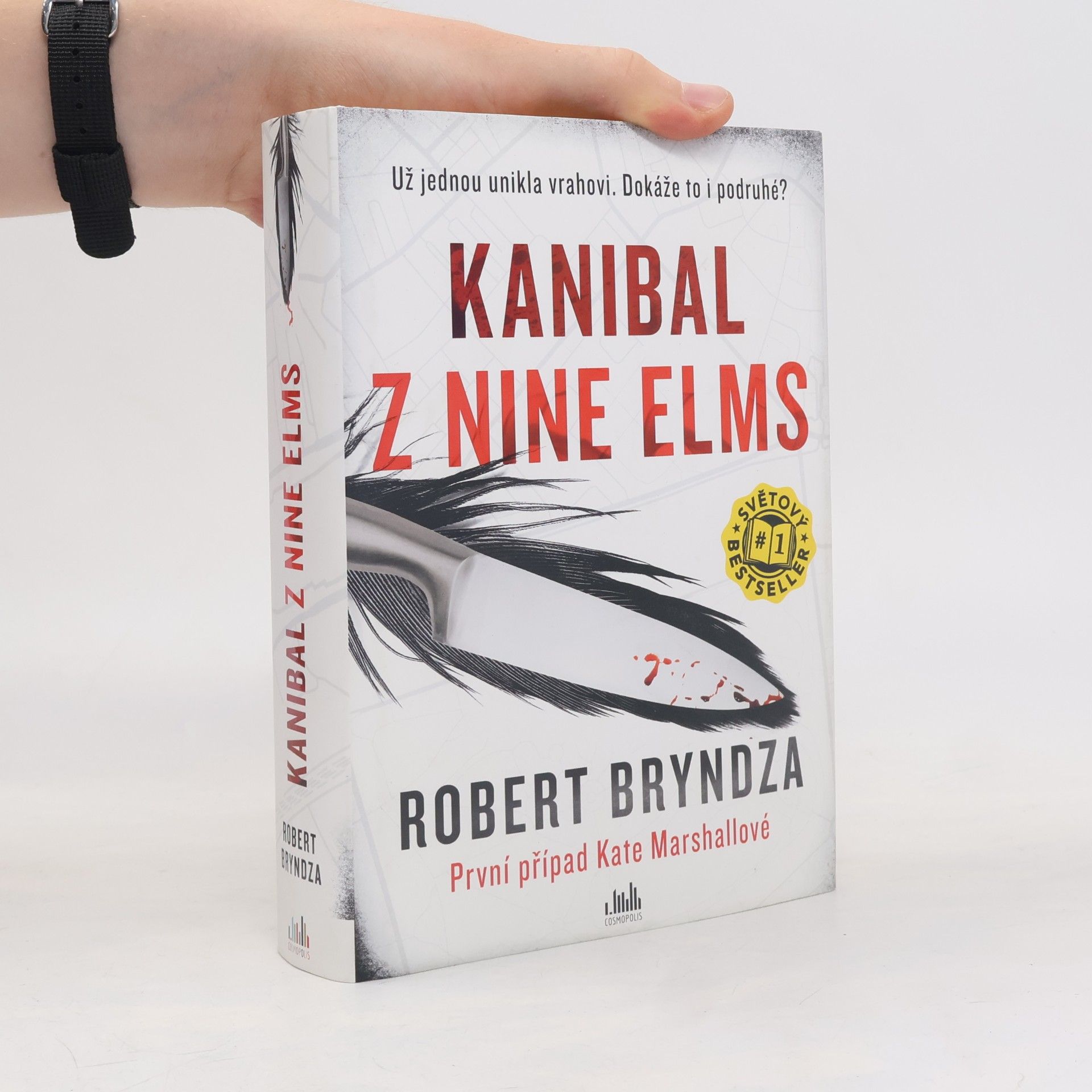 Robert Bryndza Kanibal z Nine Elms