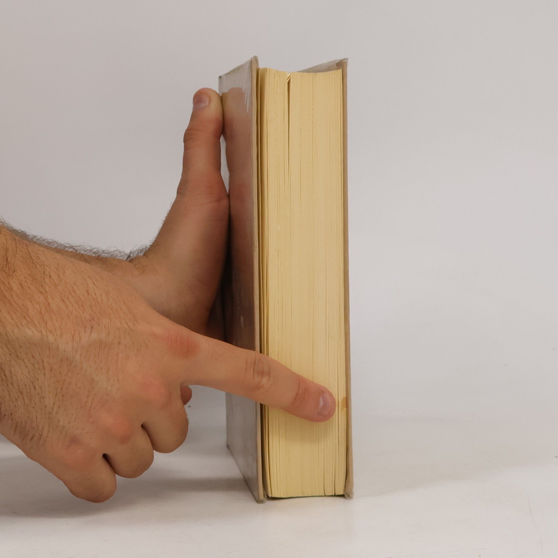 Mirko Jelusich Die Wahrheit und das Leben