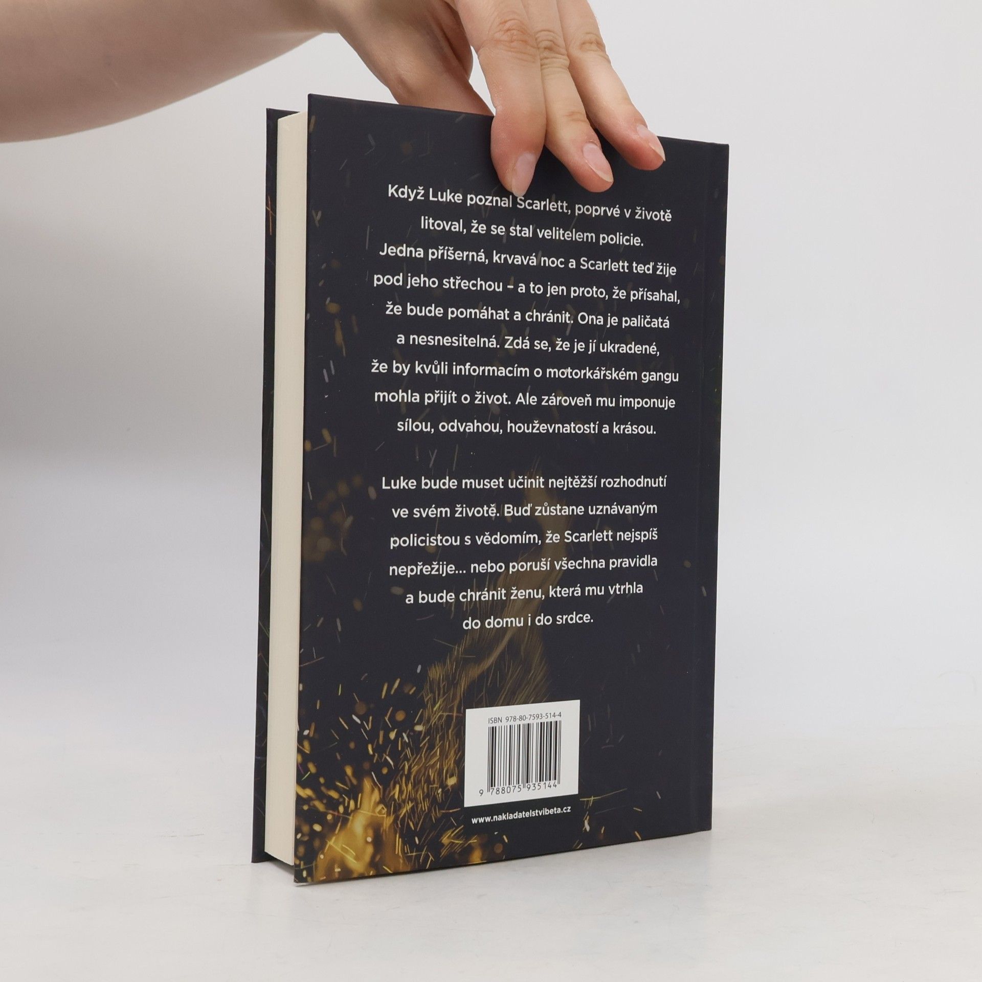 Devney Perry Princ : série Clifton Forge, díl 4.
