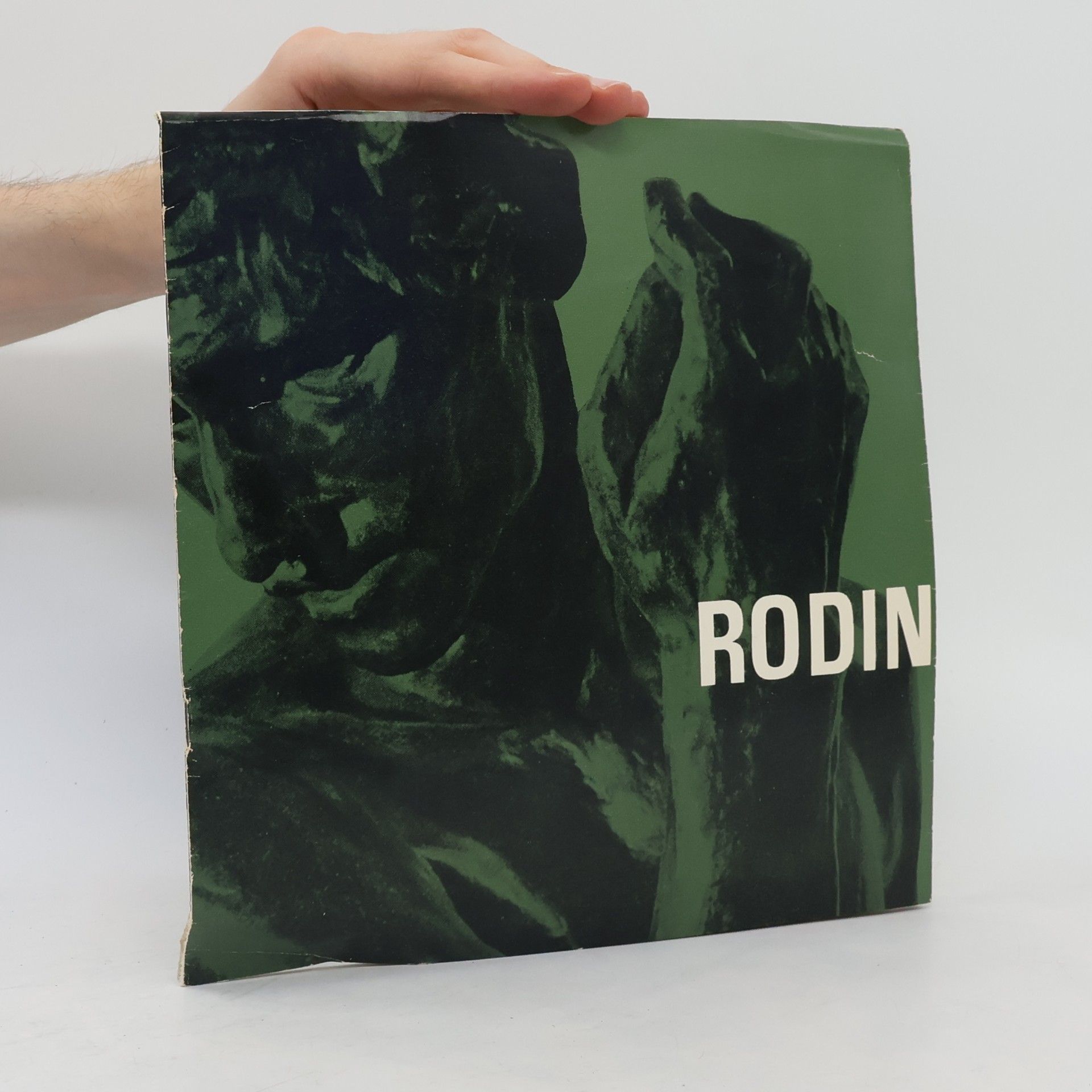 Various authors Rodin. Masters of Sculpture