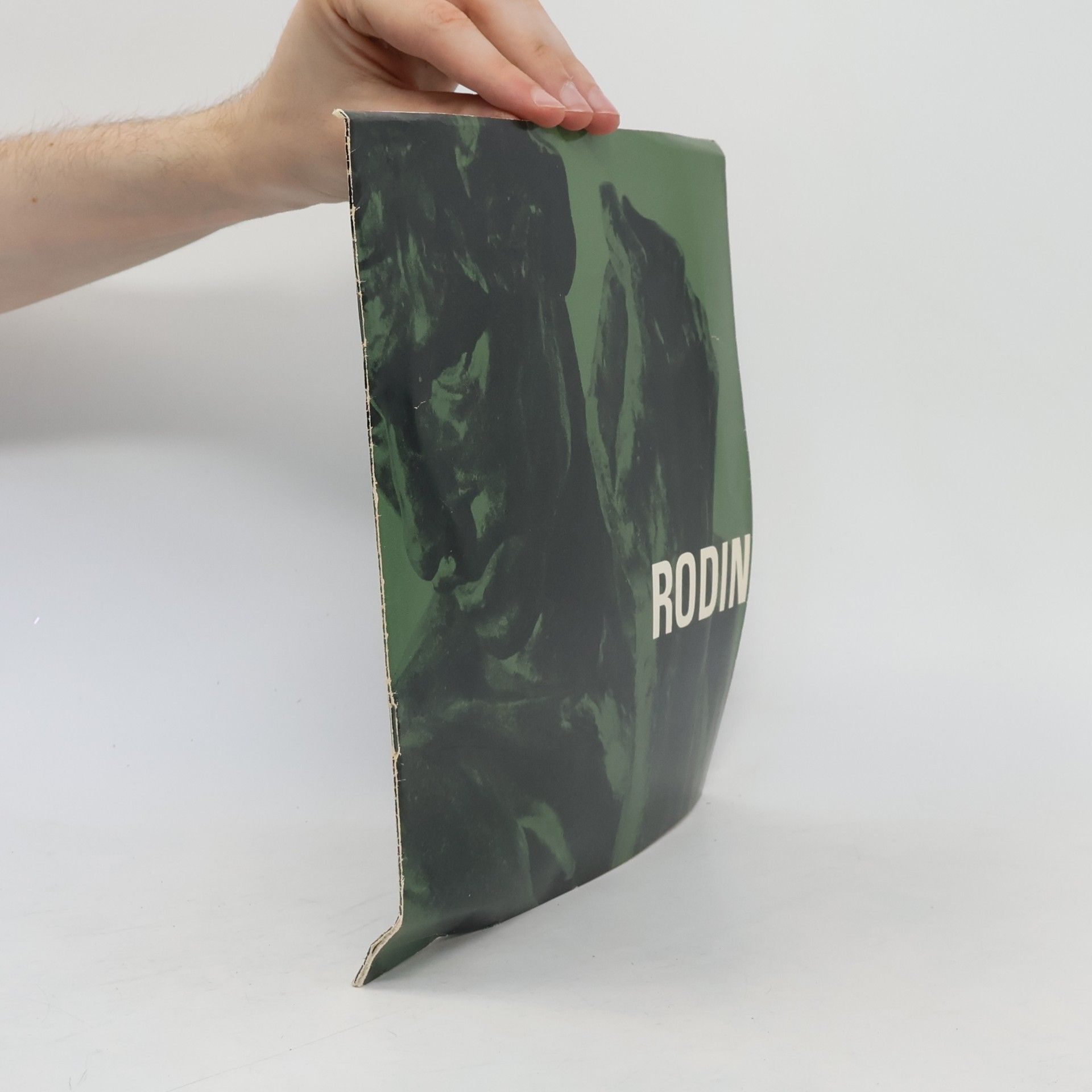 Various authors Rodin. Masters of Sculpture