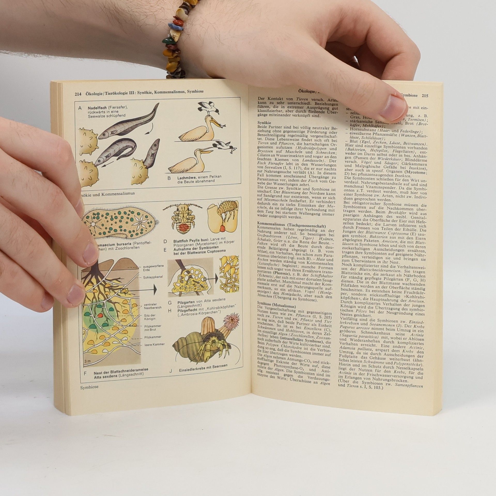 Autorenkollektiv dtv - Atlas zur Biologie. Tafein und Texte. 1-2