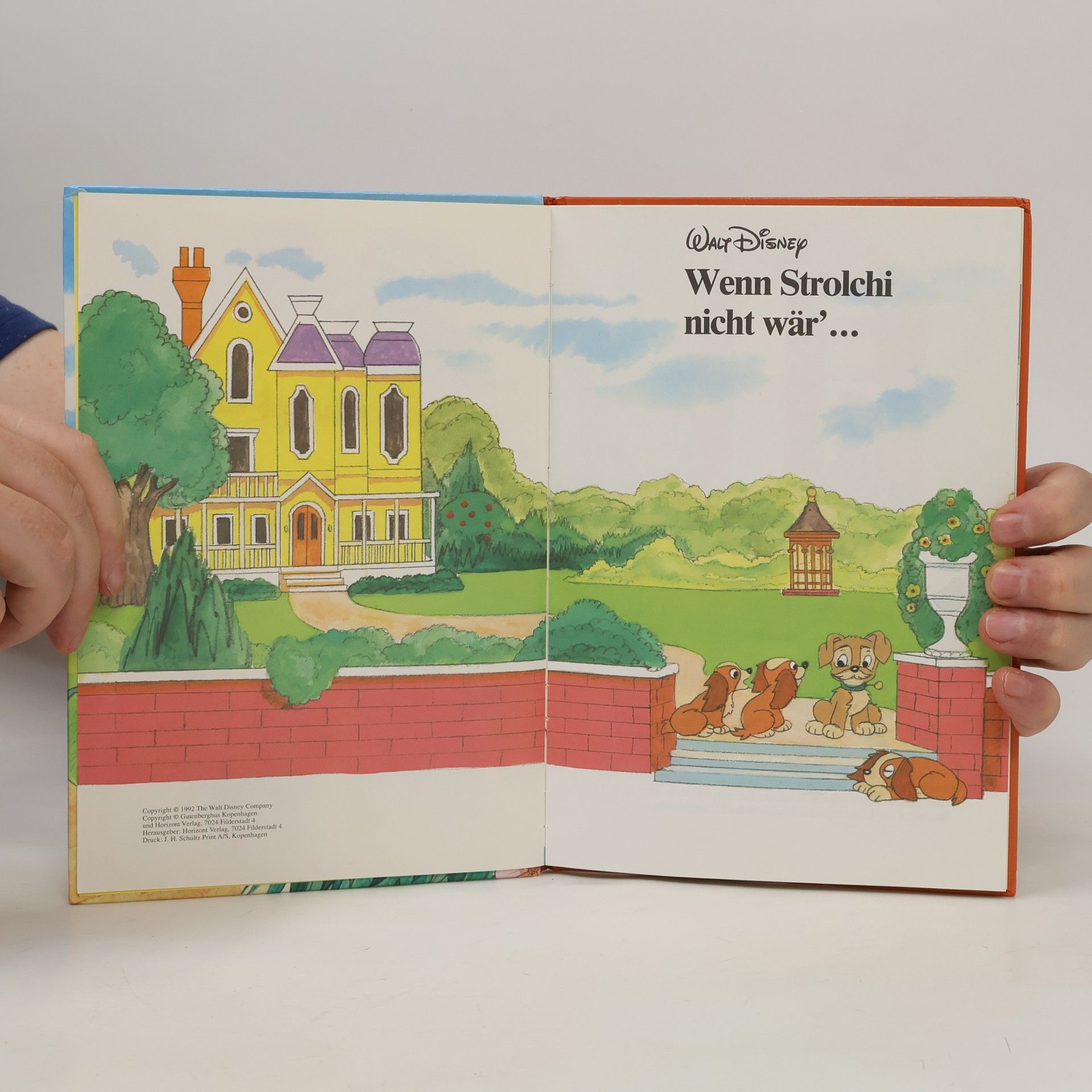 Autores varios Wenn Strolchi nicht wär'...