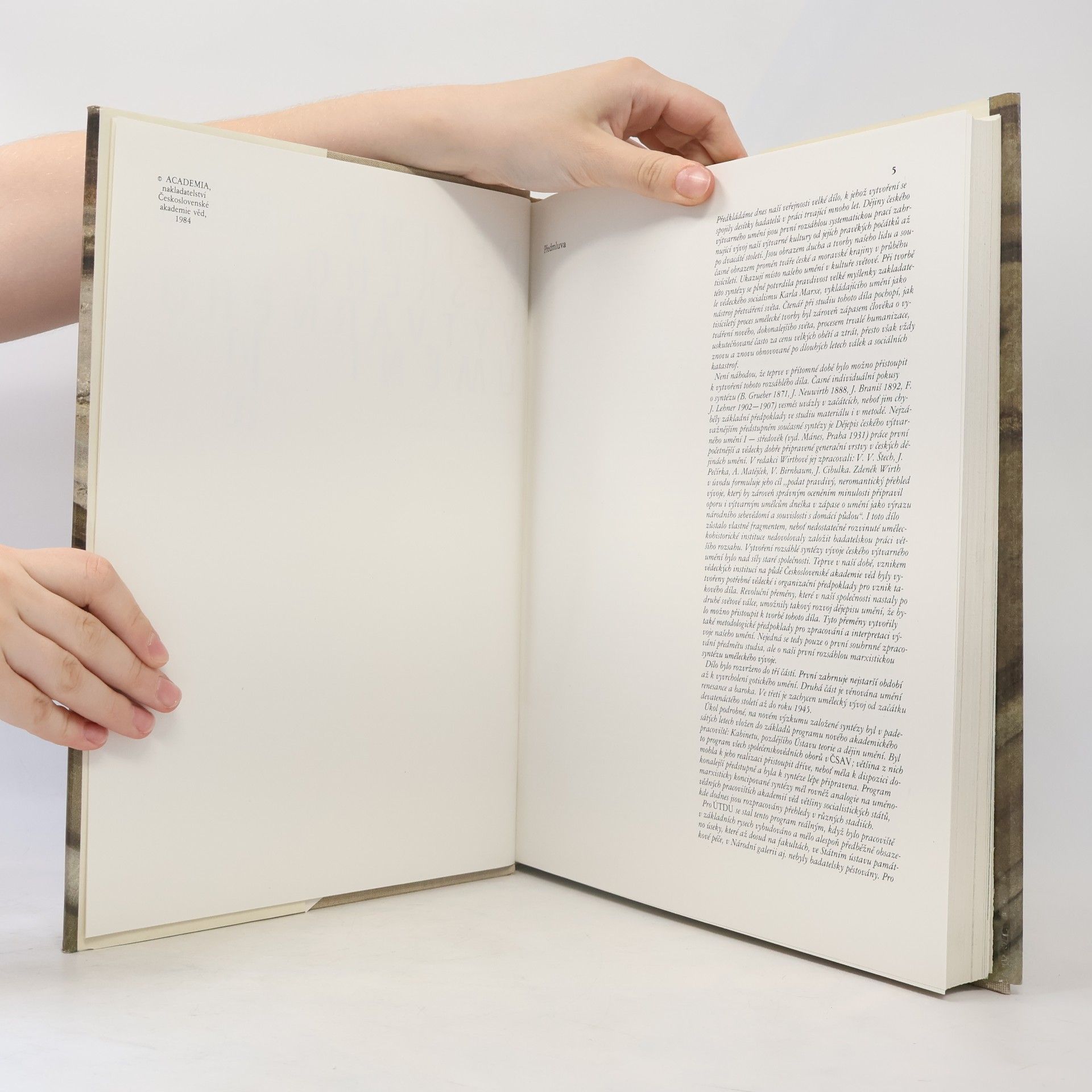 Various authors Dějiny českého výtvarného umění I/1