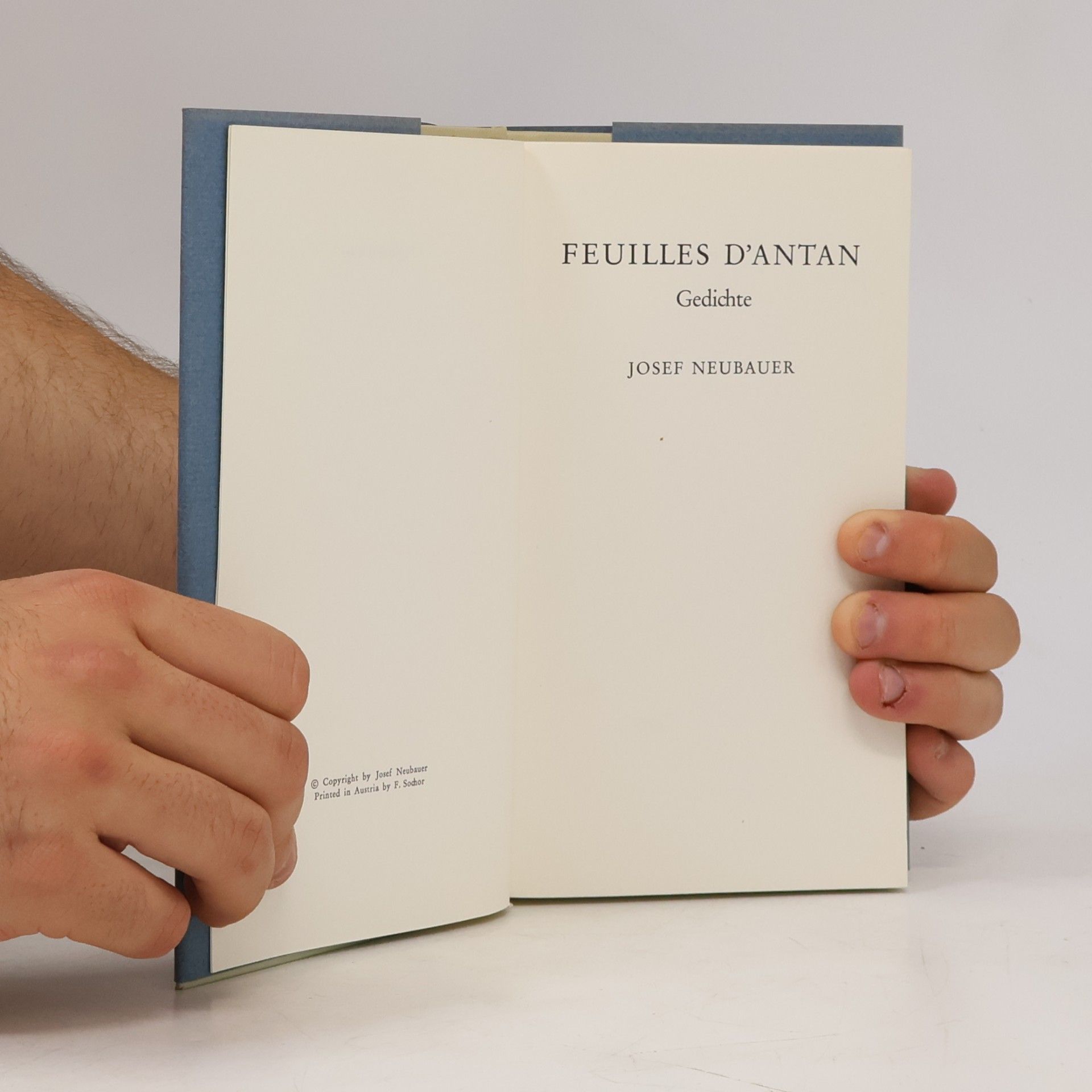 Josef Neubauer Feuilles D'Antan