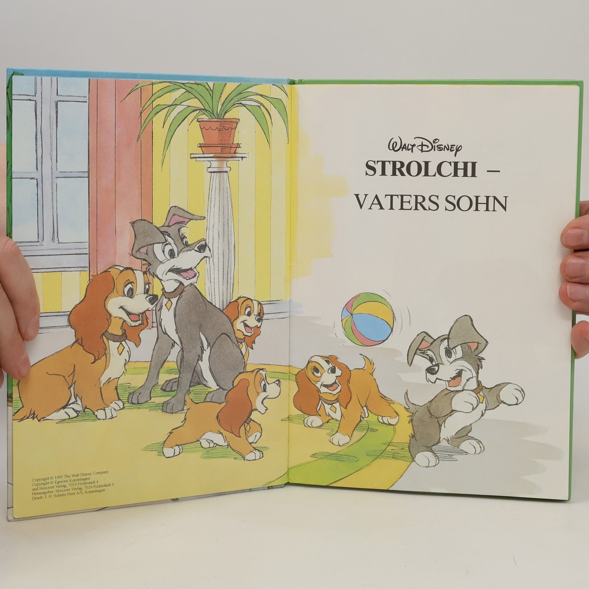 Various authors Strolchi Vaters Sohn
