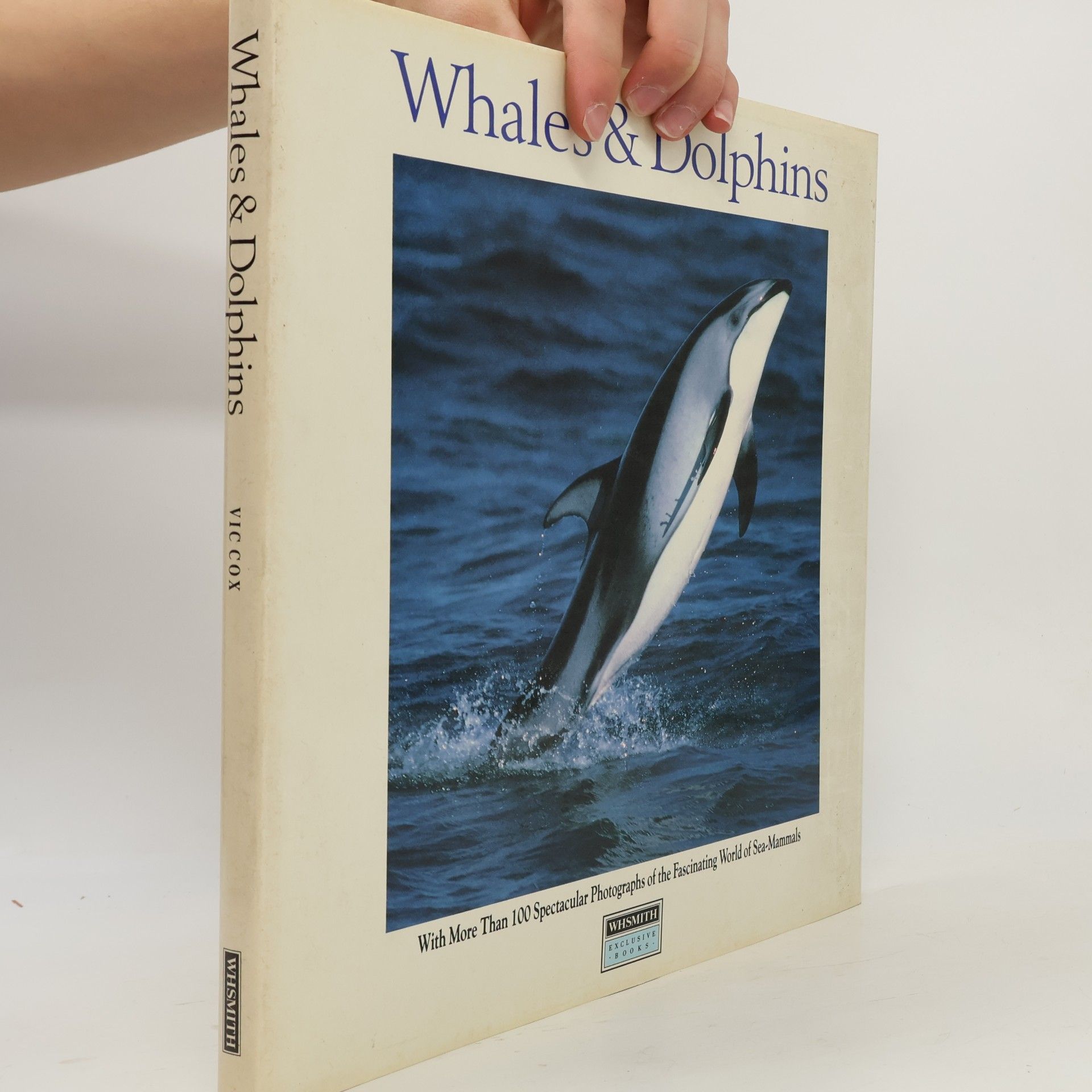 Autorenkollektiv Whales & Dolphins