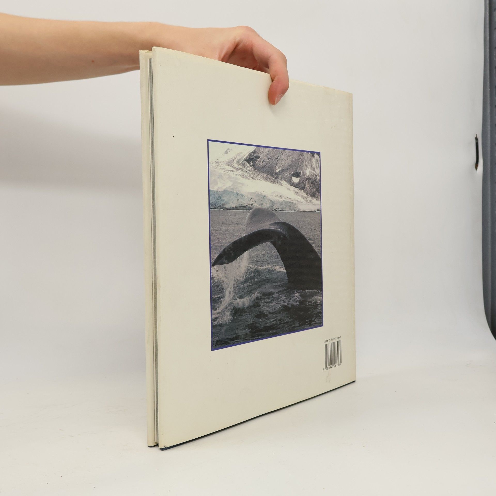 Autorenkollektiv Whales & Dolphins