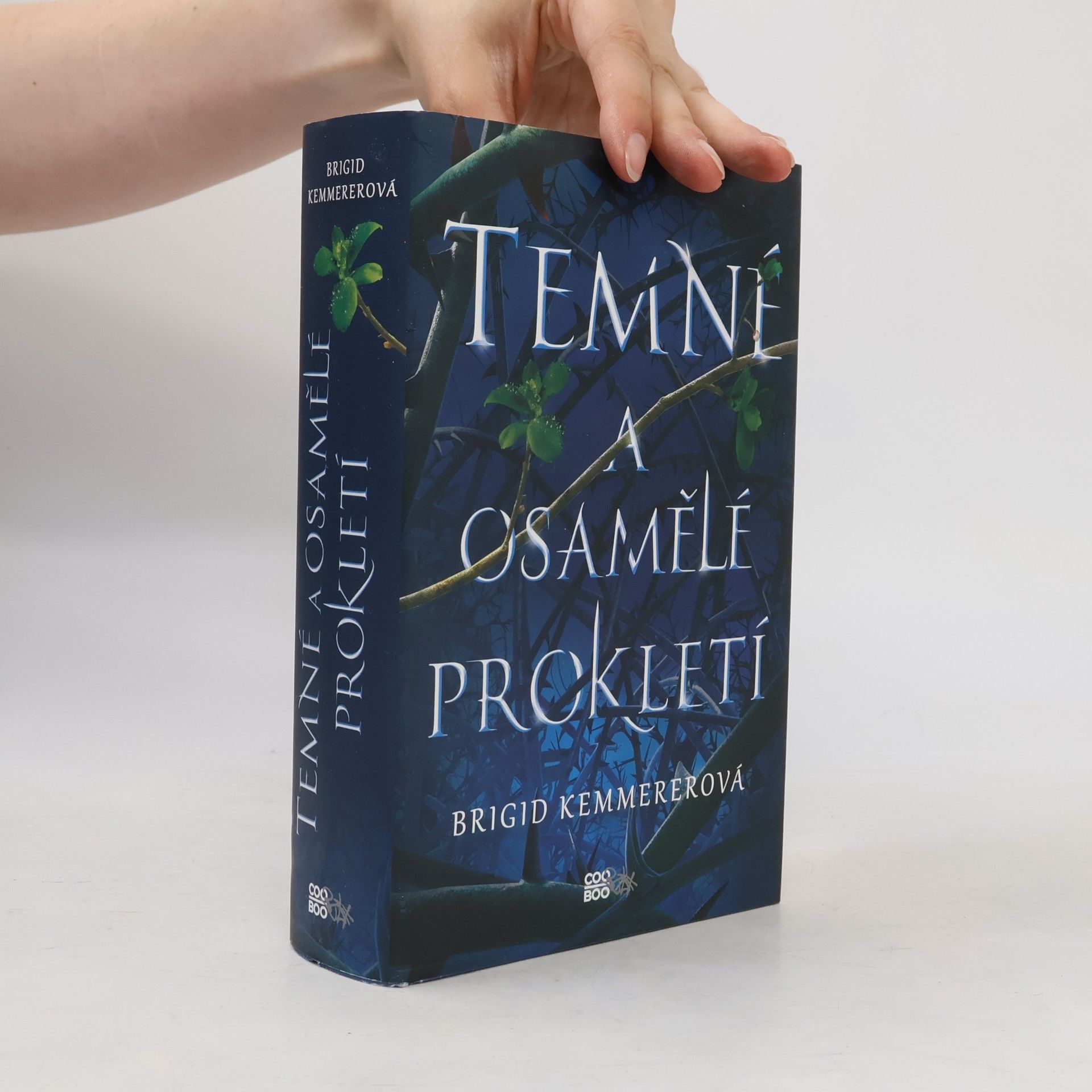 Brigid Kemmererová Temné a osamělé prokletí