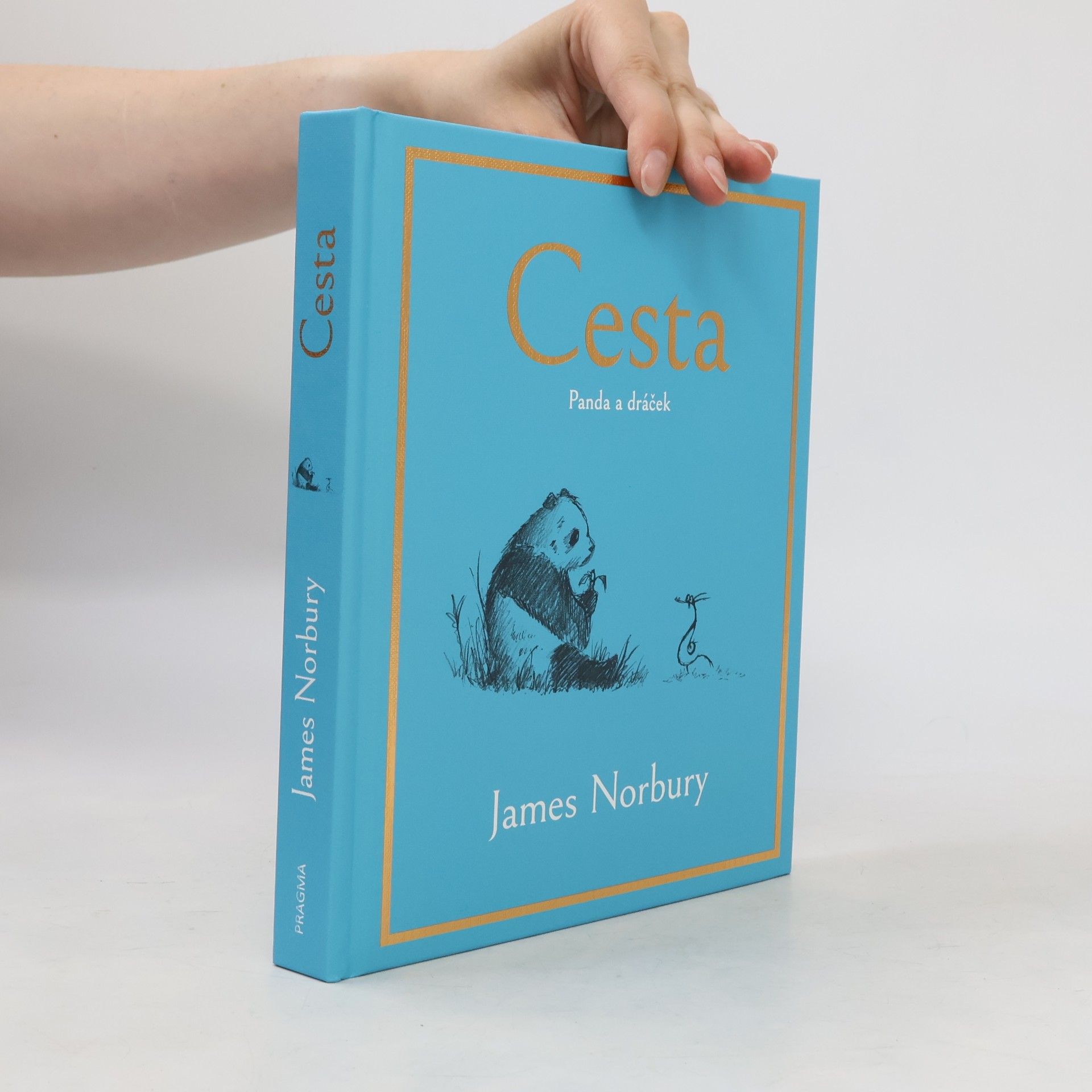 James Norbury Cesta. Panda a dráček