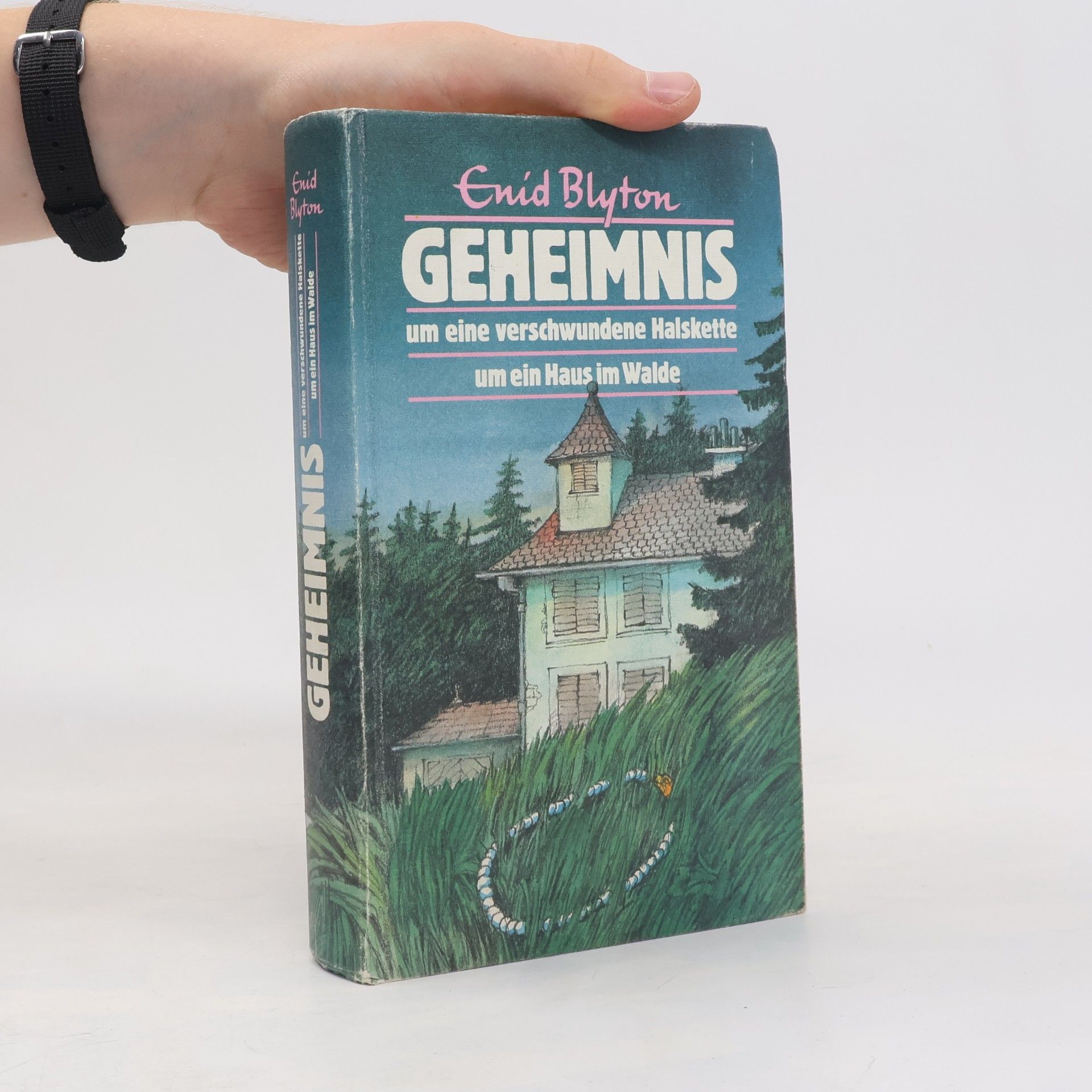 Enid Blyton Geheimnis um eine verschwundene Halskette um ein Haus im Walde
