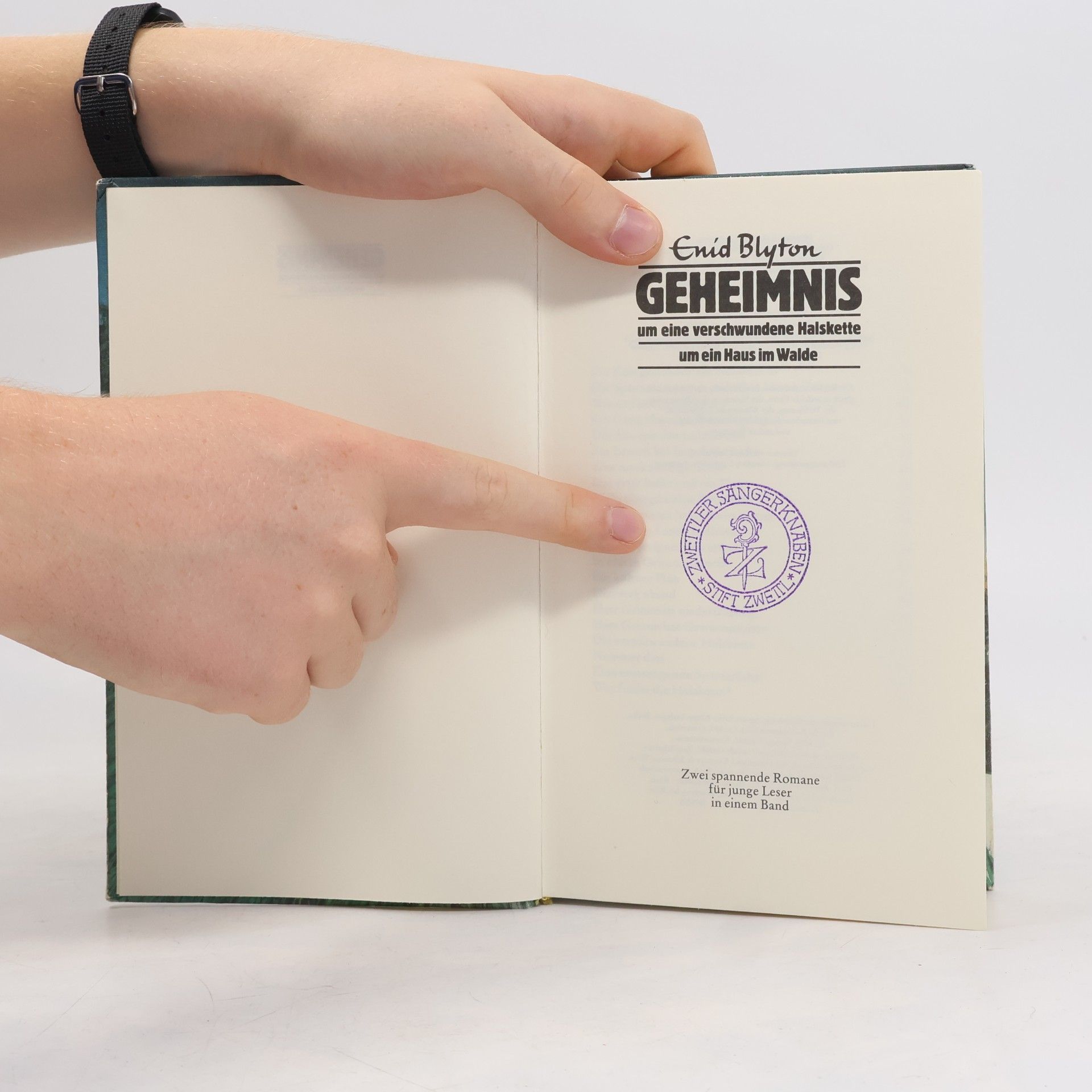Enid Blyton Geheimnis um eine verschwundene Halskette um ein Haus im Walde