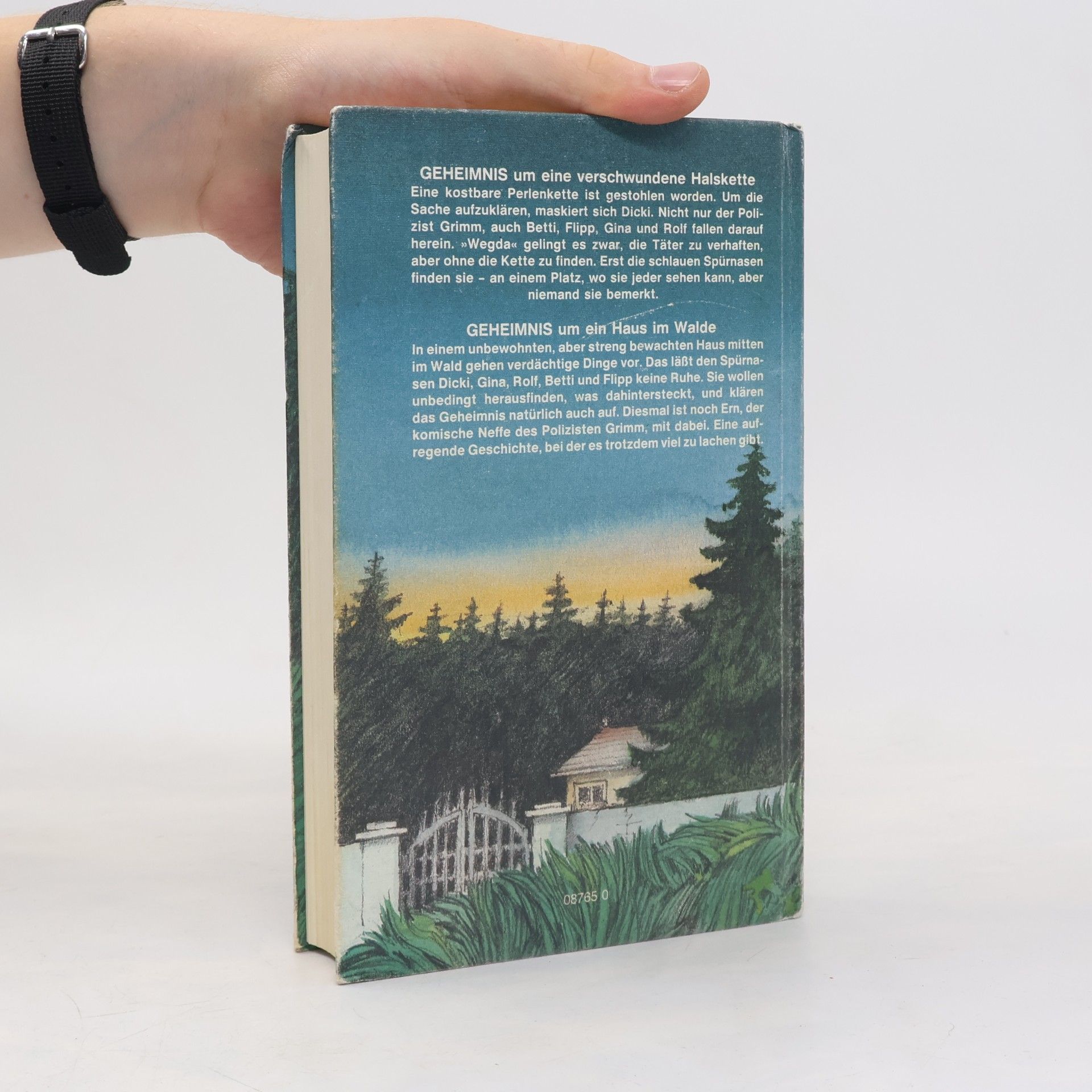 Enid Blyton Geheimnis um eine verschwundene Halskette um ein Haus im Walde