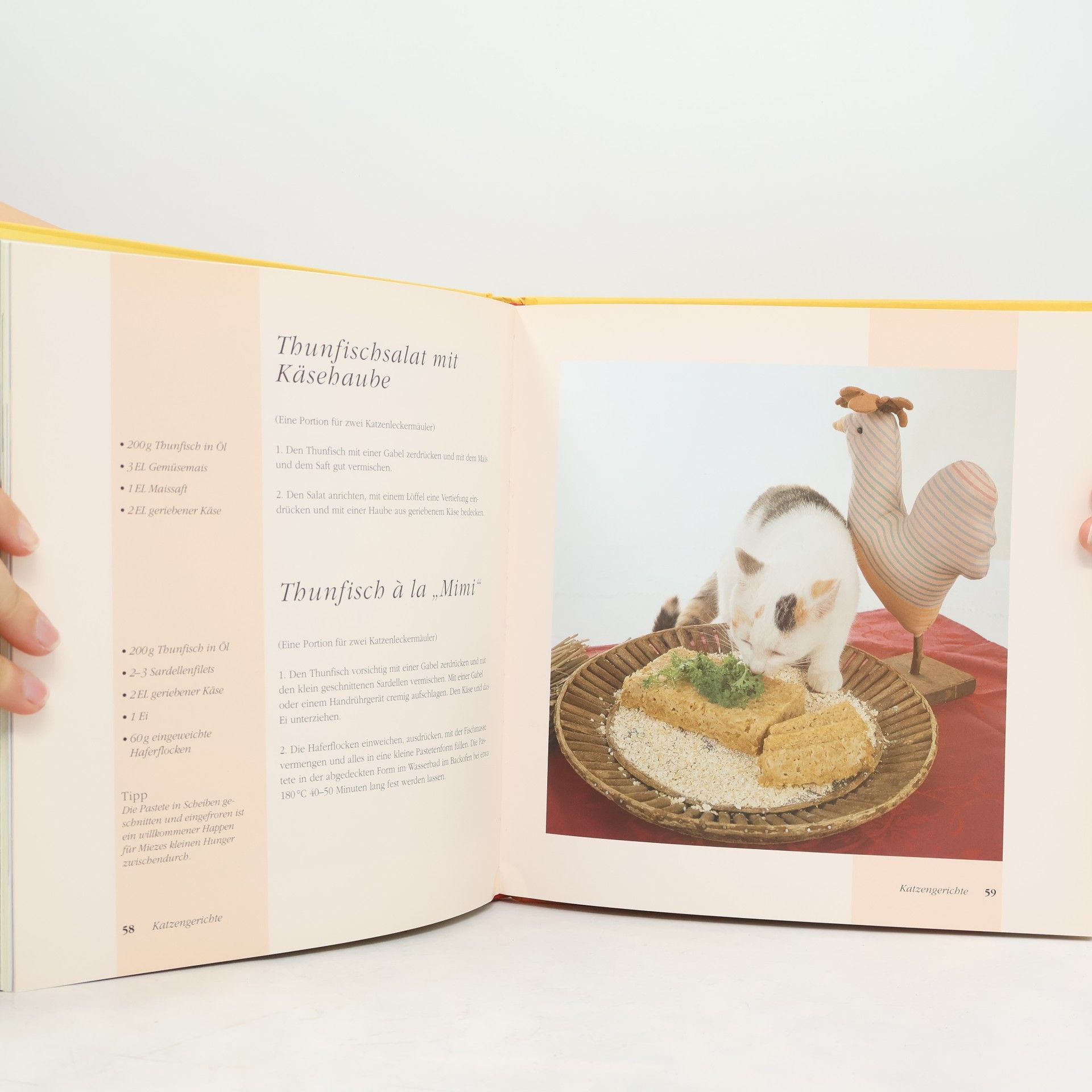 Elisabeth Meyer zu Stieghorst Das Katzenkochbuch