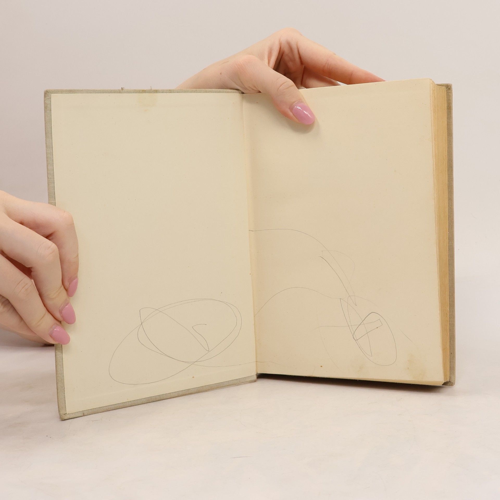 Various authors Pravidla českého pravopisu