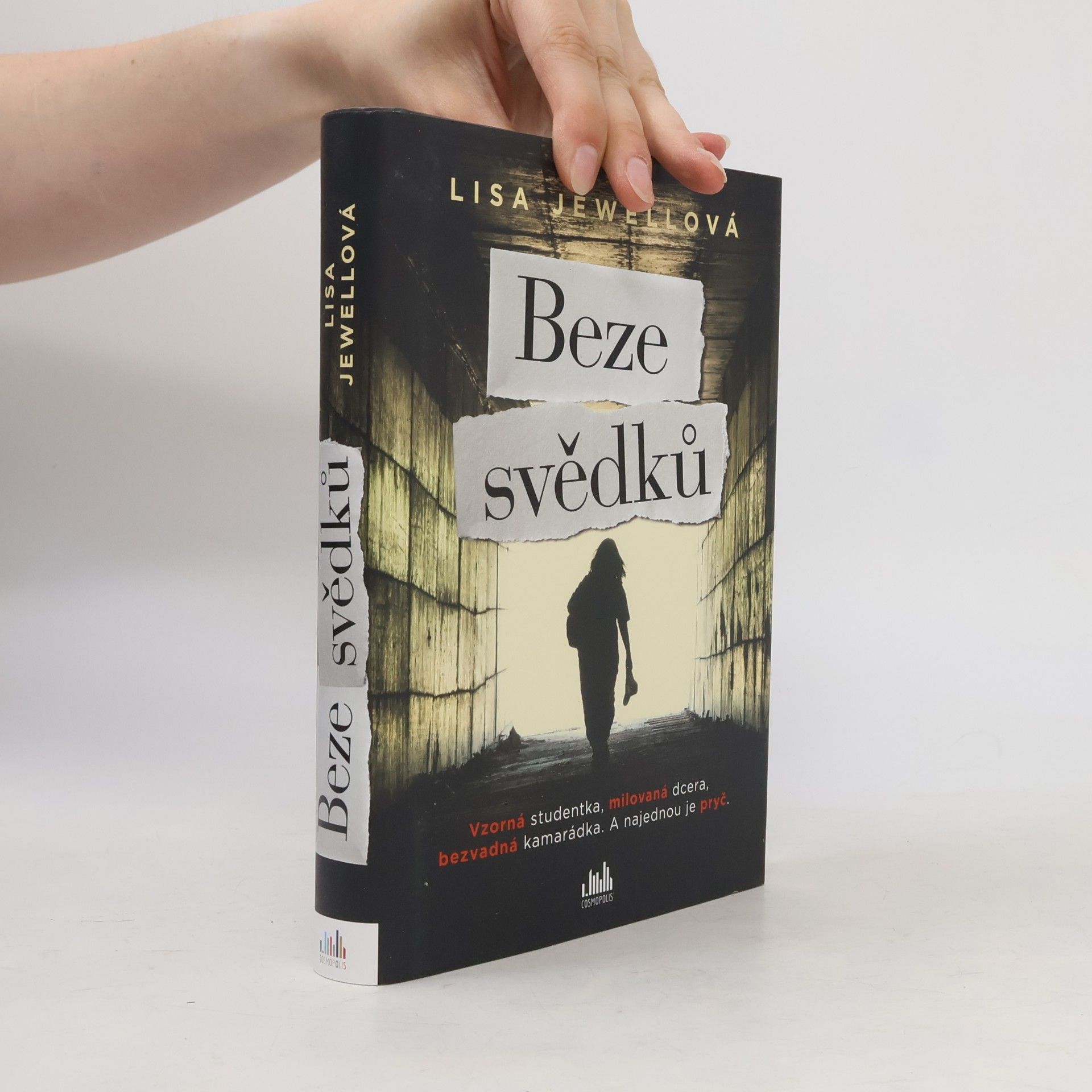 Lisa Jewell Beze svědků