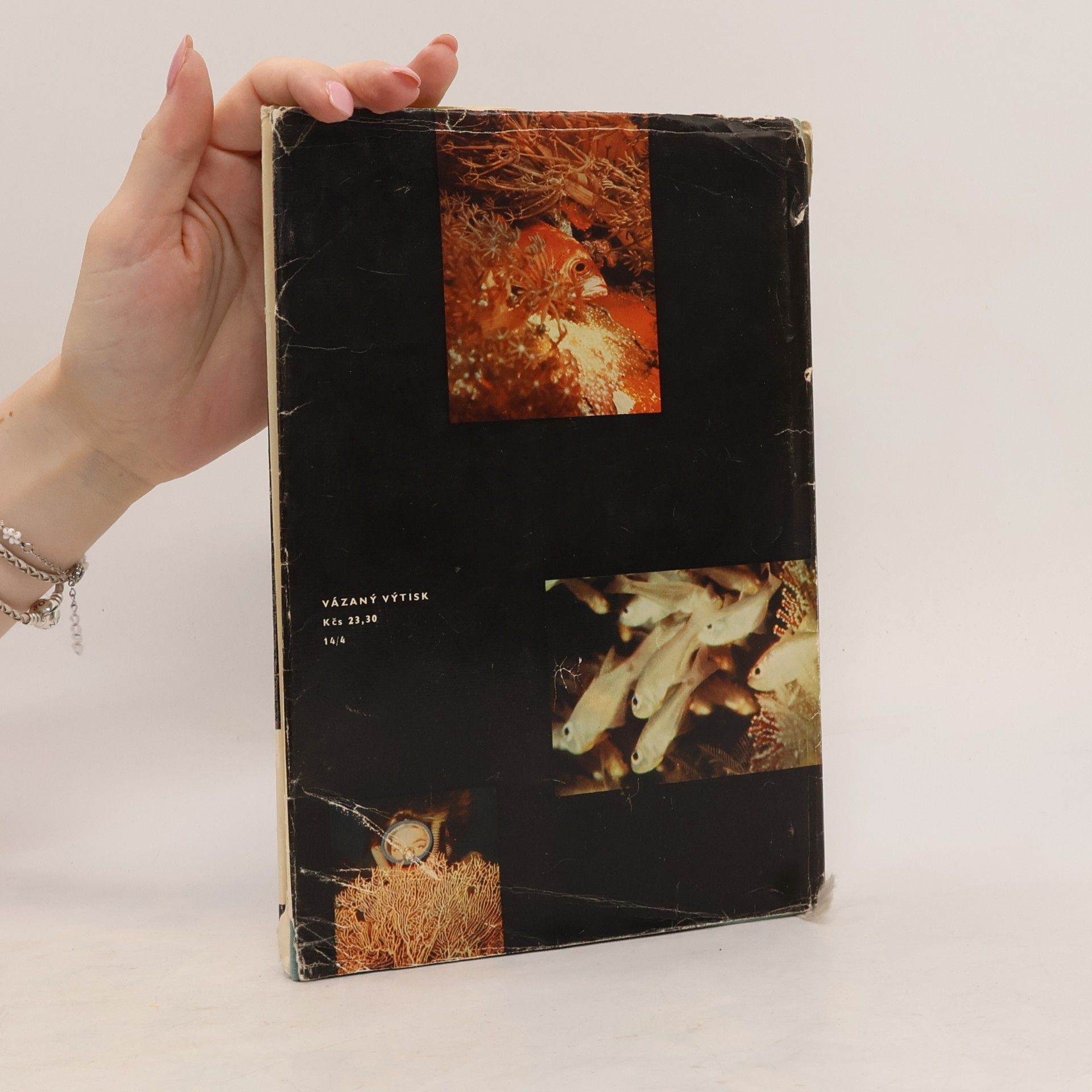 Hans Hass Dobytí podmořské říše