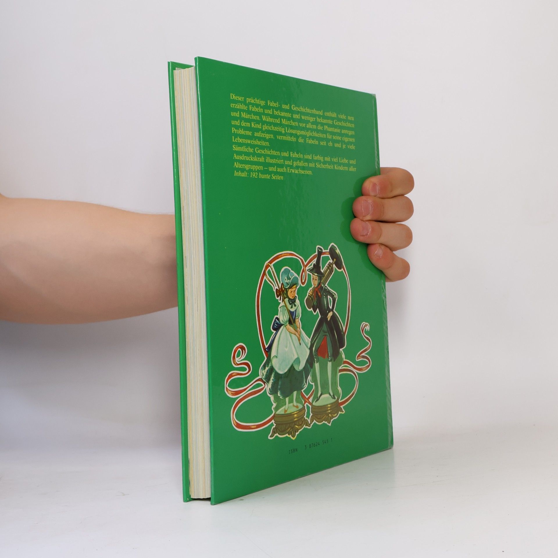 Lucy Kincaid Mein großes Fabel- und Geschichtenbuch