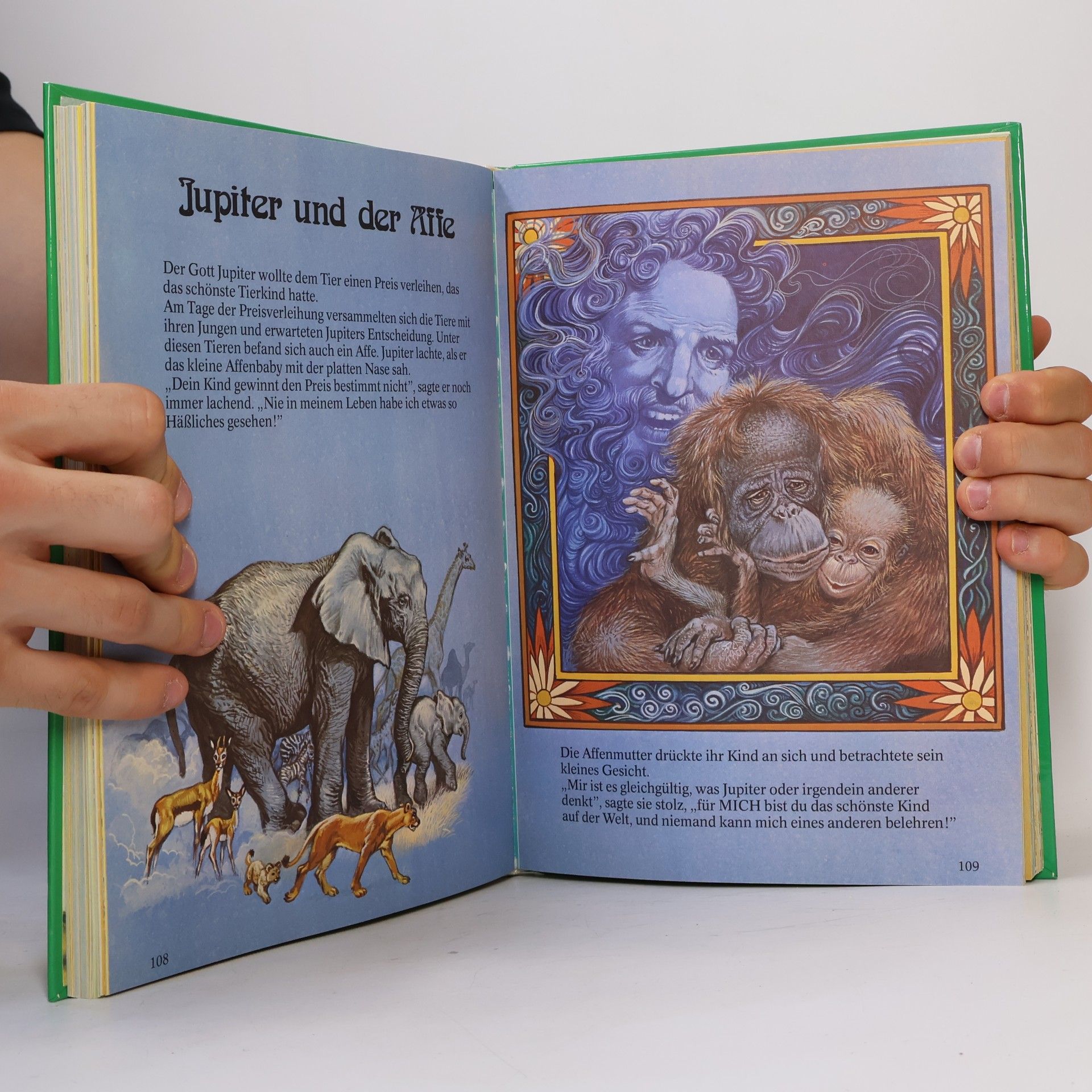 Lucy Kincaid Mein großes Fabel- und Geschichtenbuch