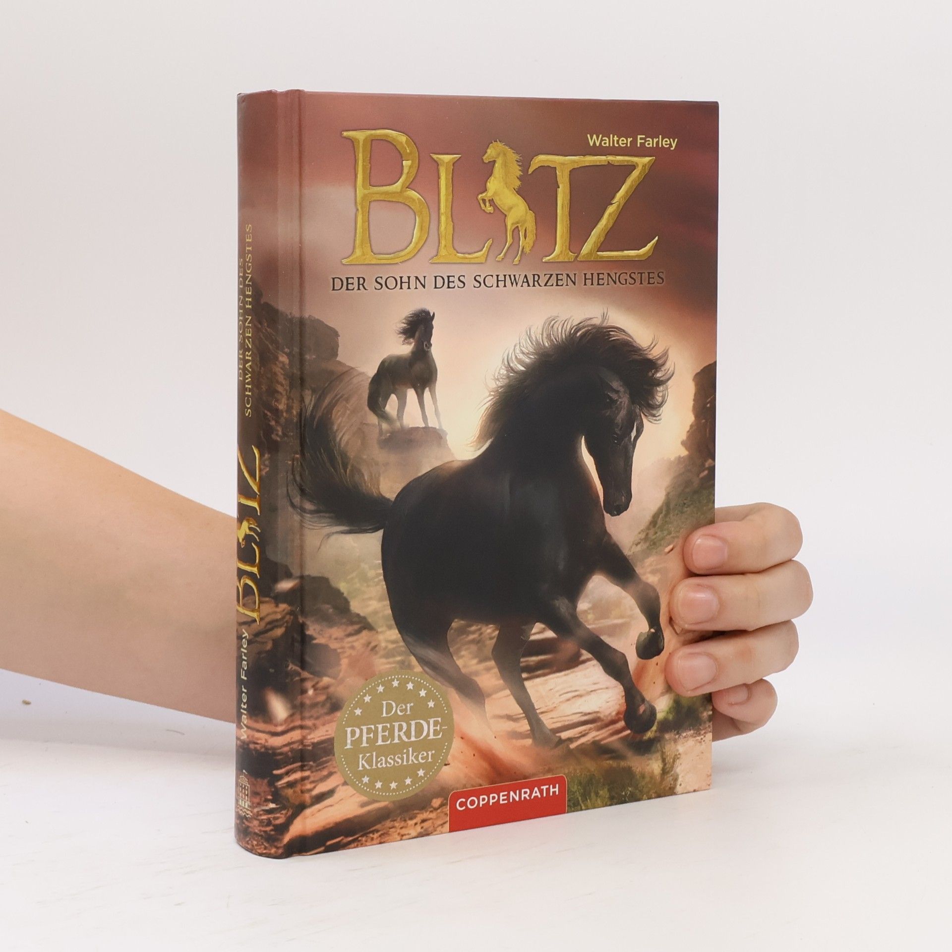 Walter Farley Blitz - der Sohn des schwarzen Hengstes