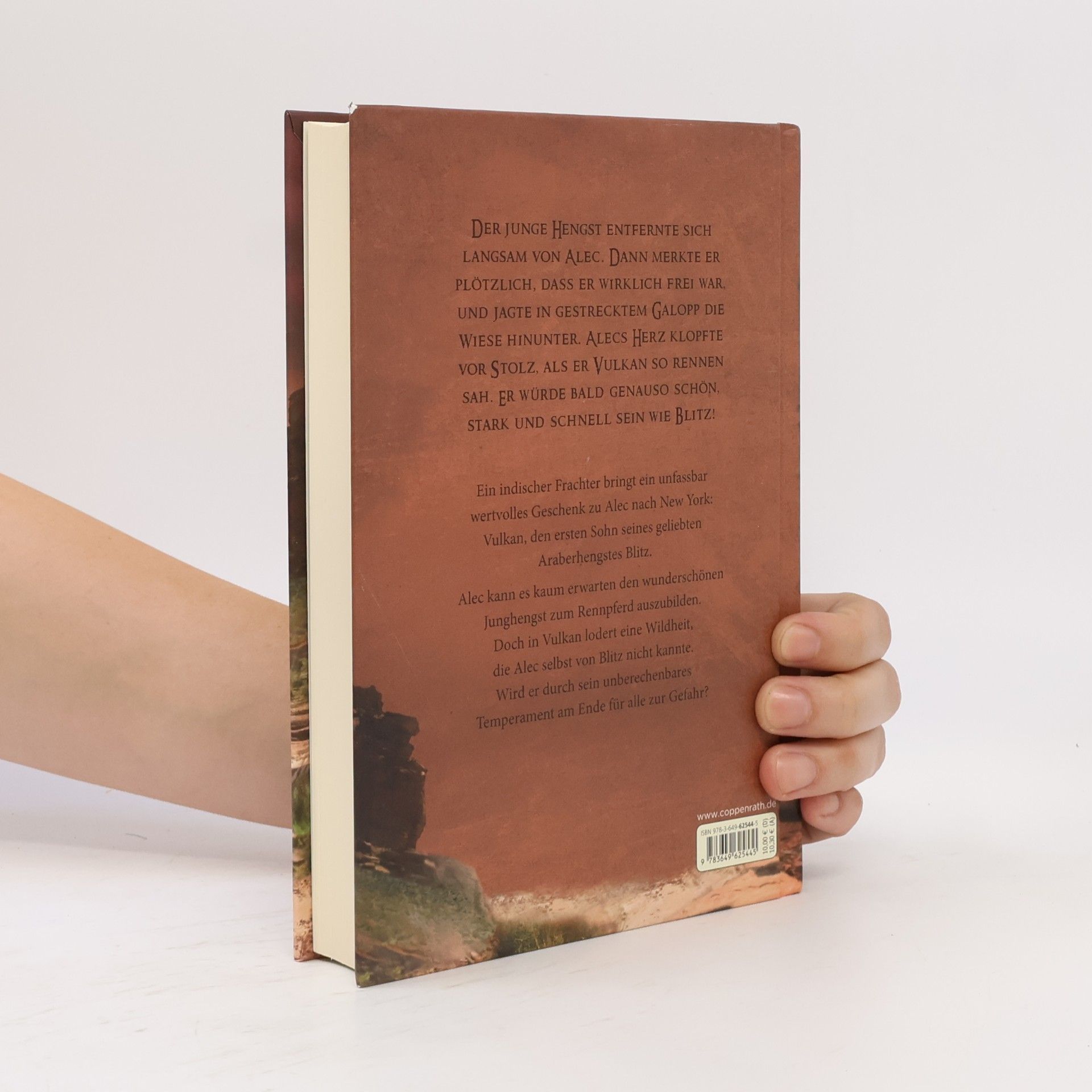 Walter Farley Blitz - der Sohn des schwarzen Hengstes