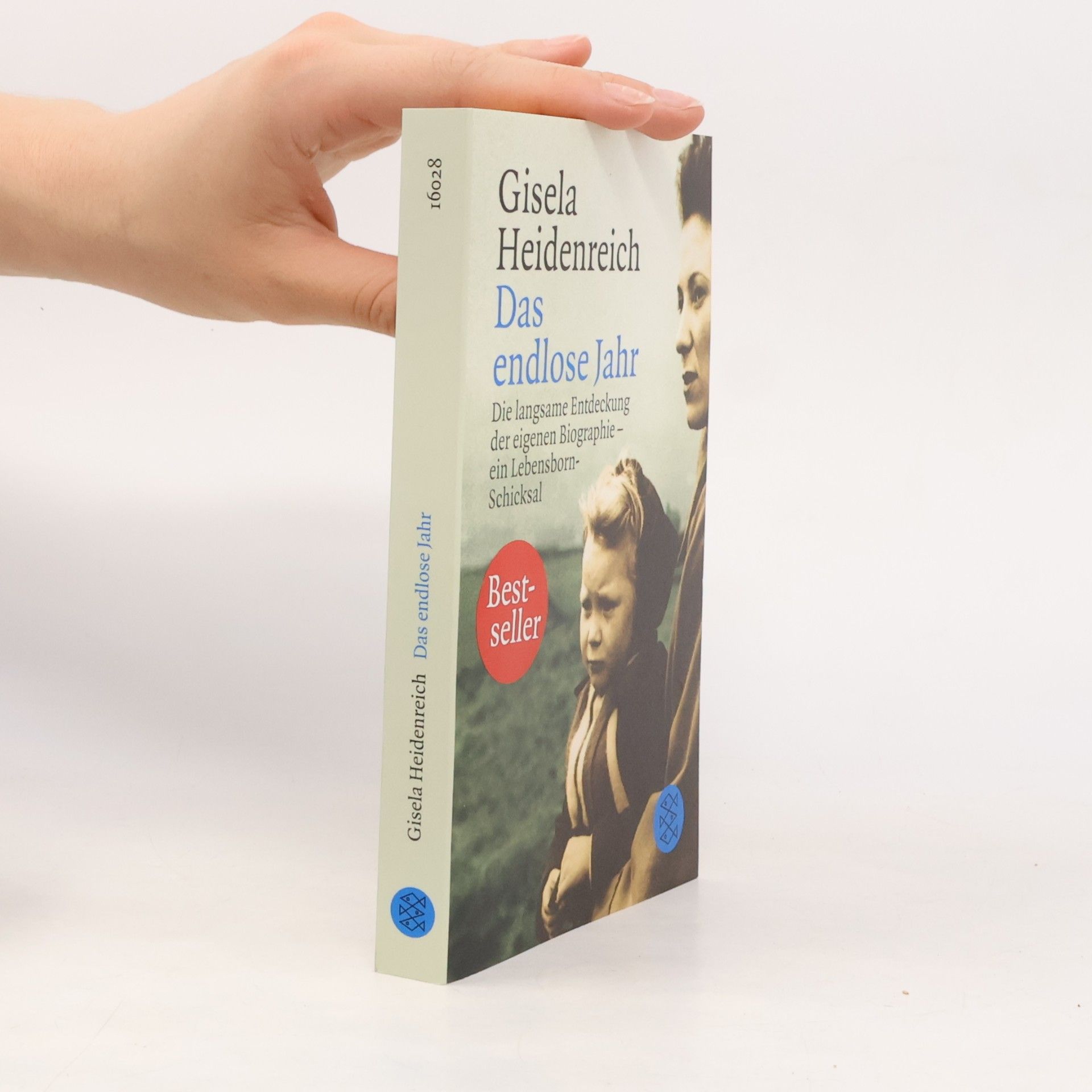 Gisela Heidenreich Das endlose Jahr
