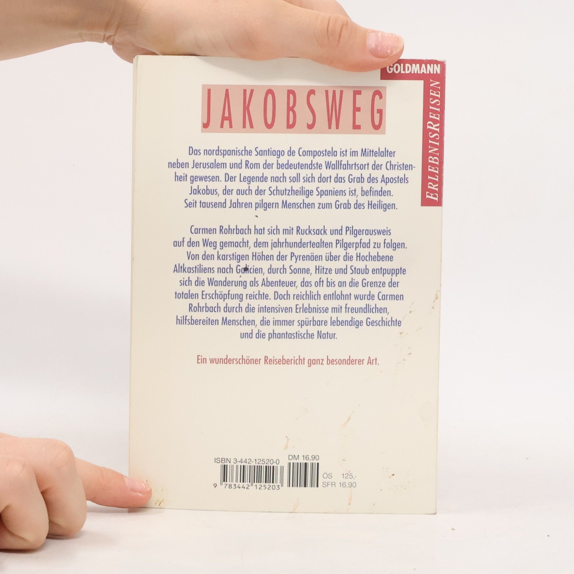 Carmen Rohrbach Jakobsweg