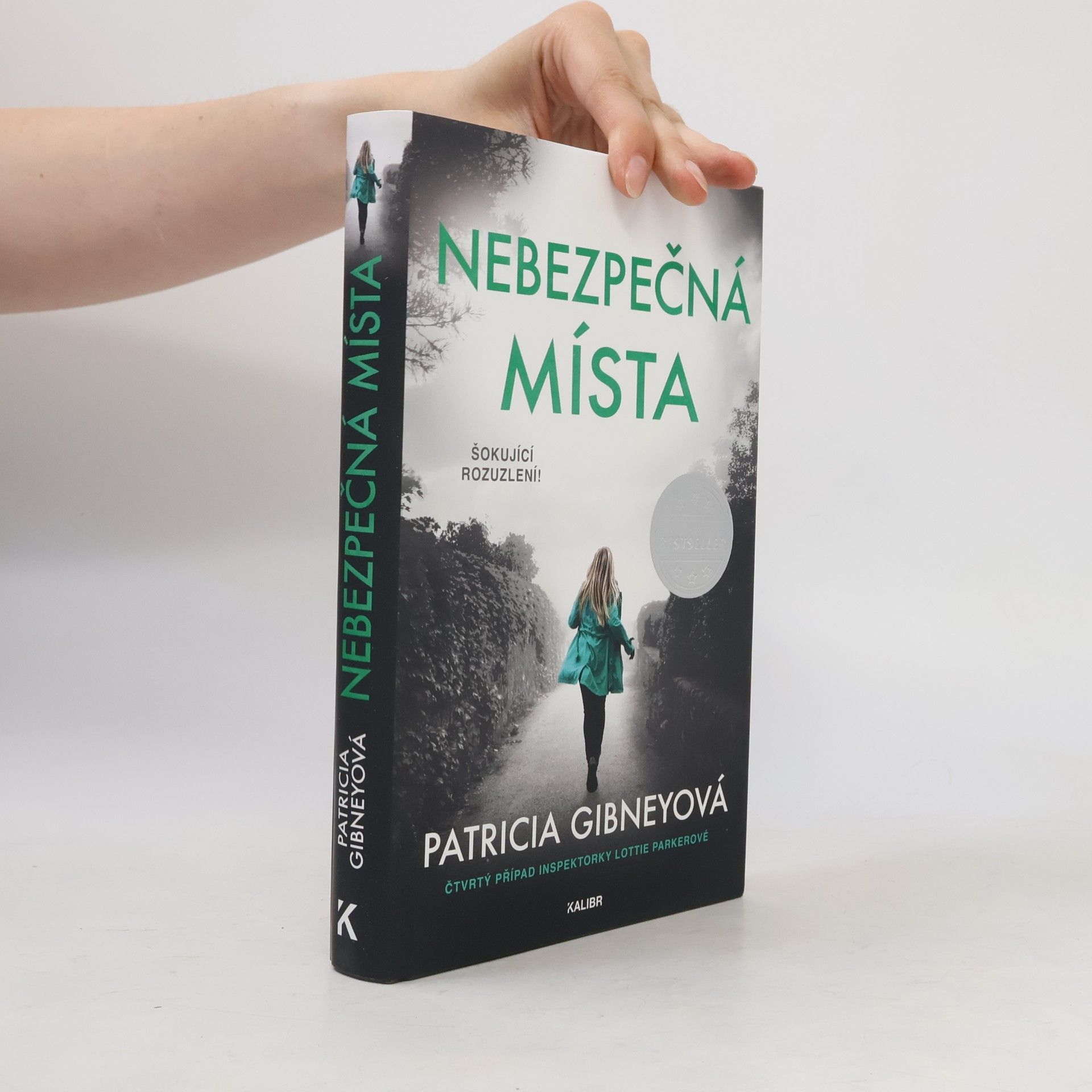 Patricia Gibney Nebezpečná místa